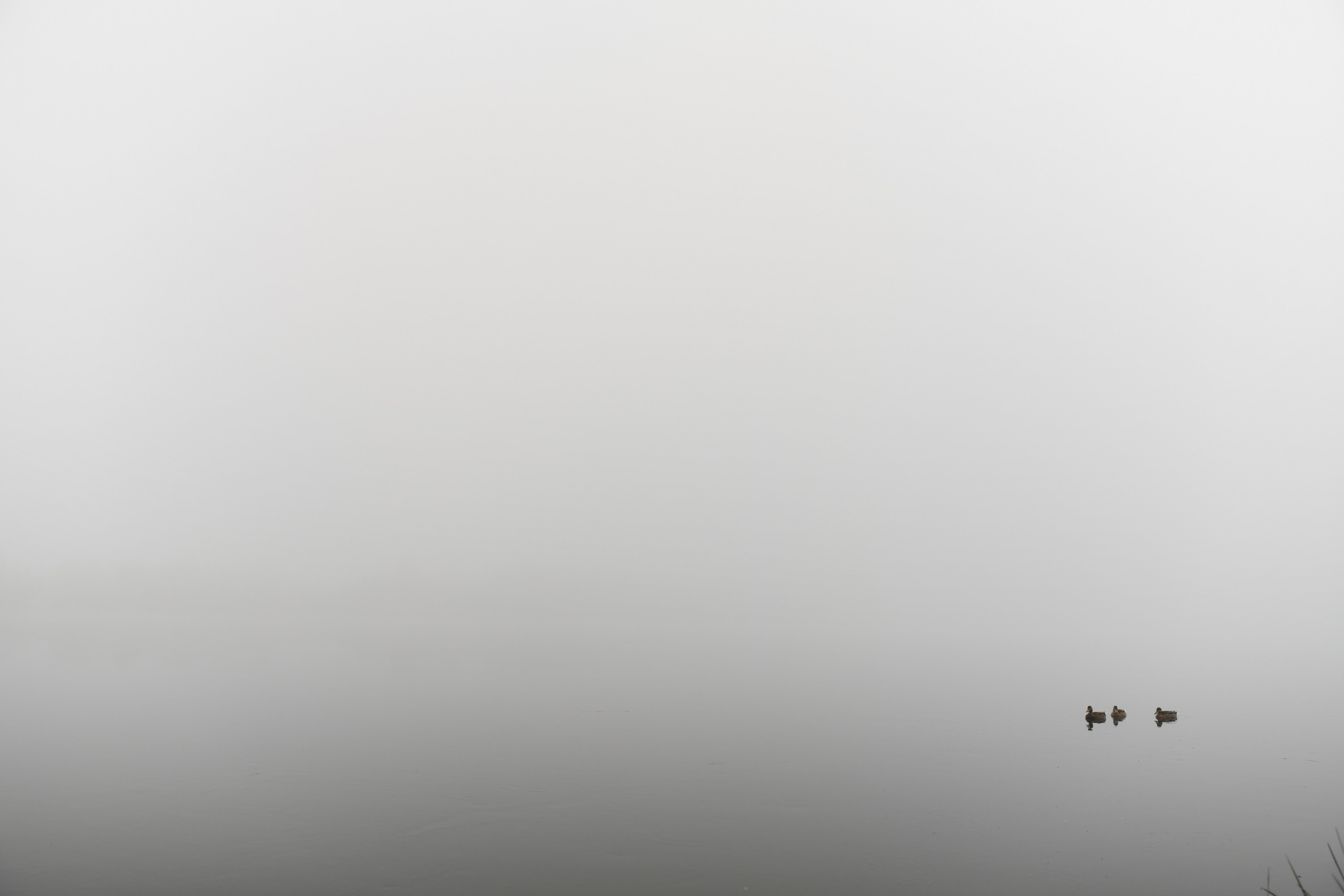 Природа. Фото детских спортивных мероприятий и всякое интересное через объектив