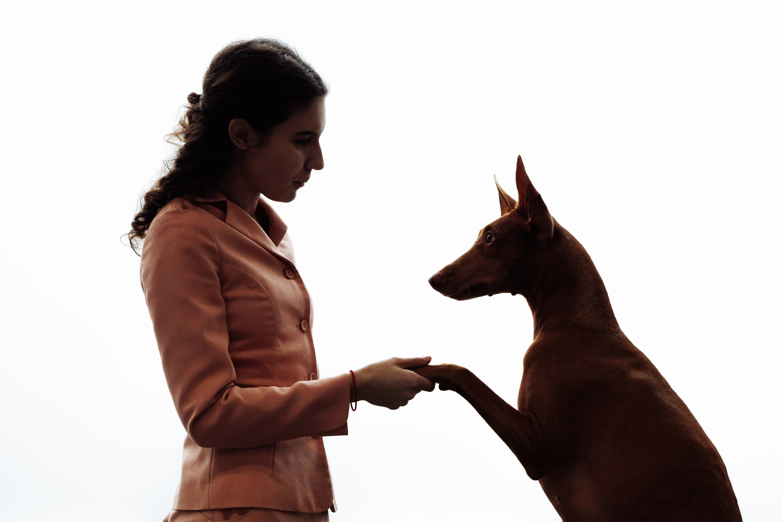 29-30.11.2025 — Казань «Зилант». Фотограф-анималист Саша Вязьмина