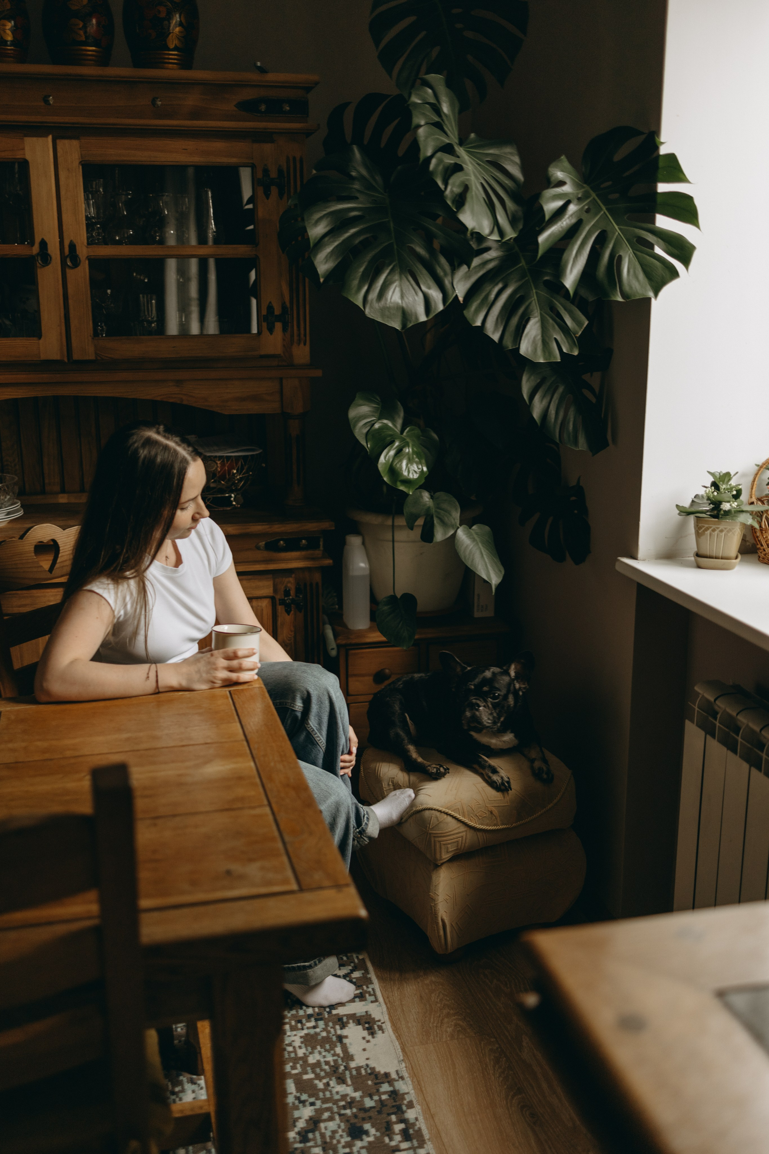 Софа и ее хвостики. Фотограф — Анималист | Санкт-Петербург