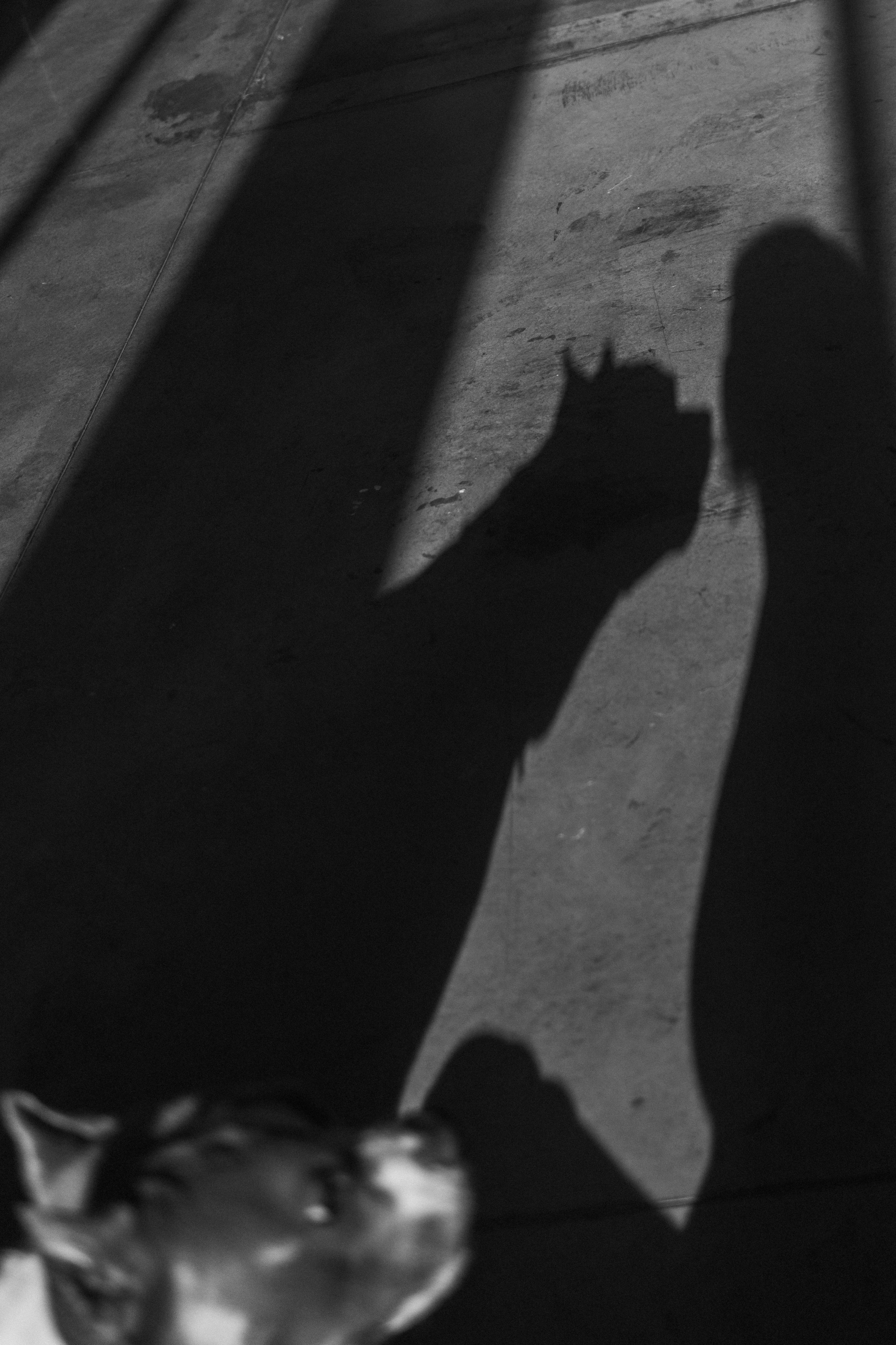 Саша и Кракен. Фотограф — Анималист | Санкт-Петербург