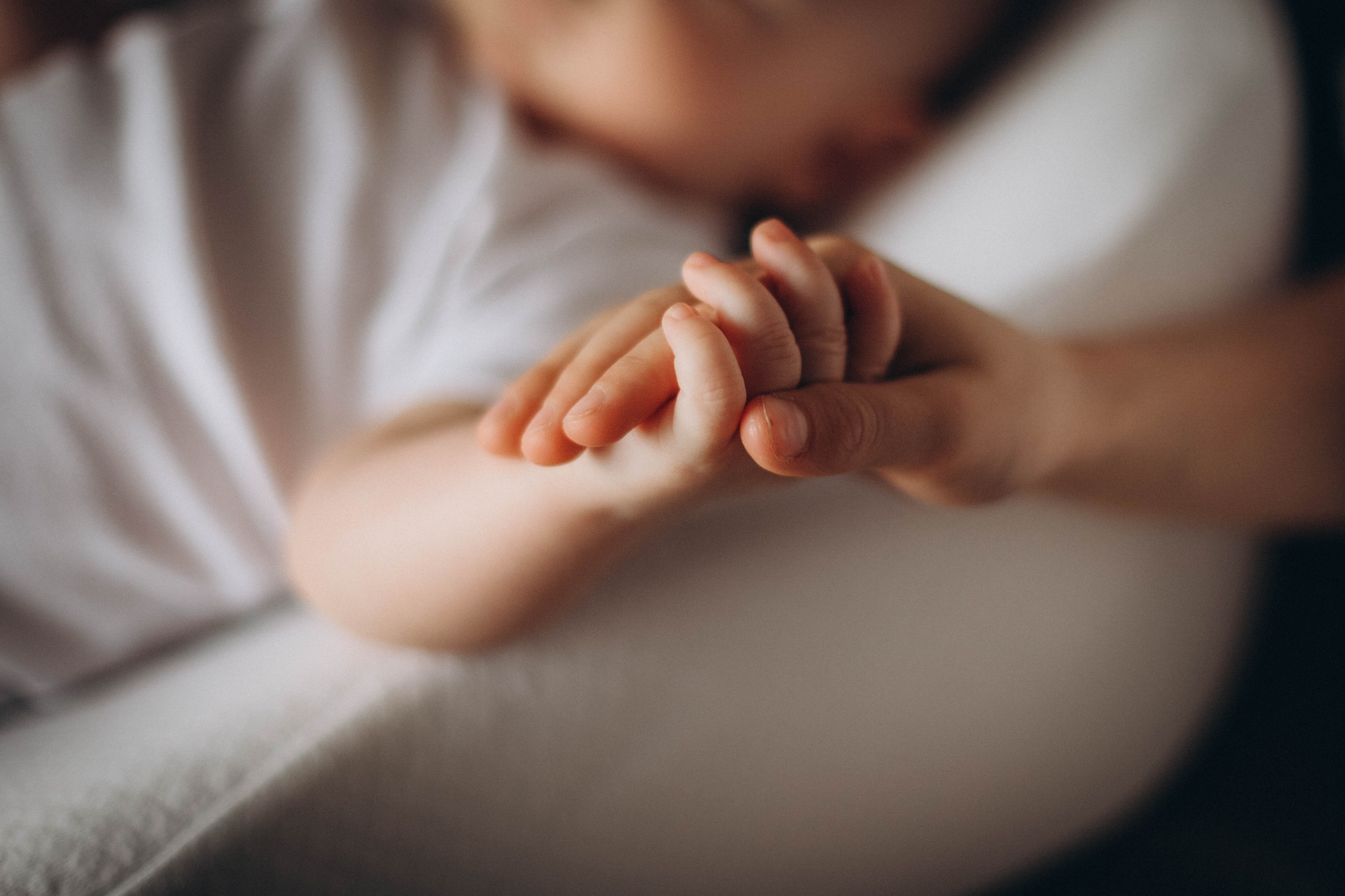 Фёдор. Семейная фотография в Санкт-Петербурге Елизавета Шепель