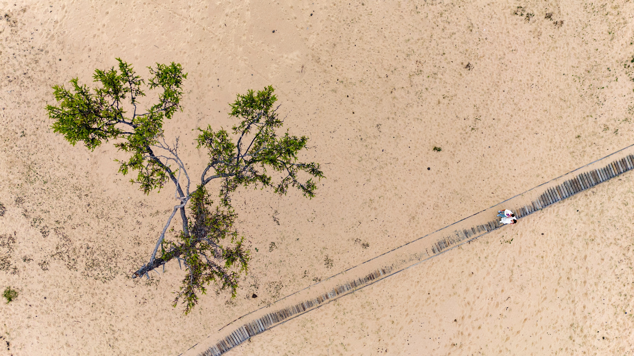 Свадебная съемка. Dmitry Golenko
