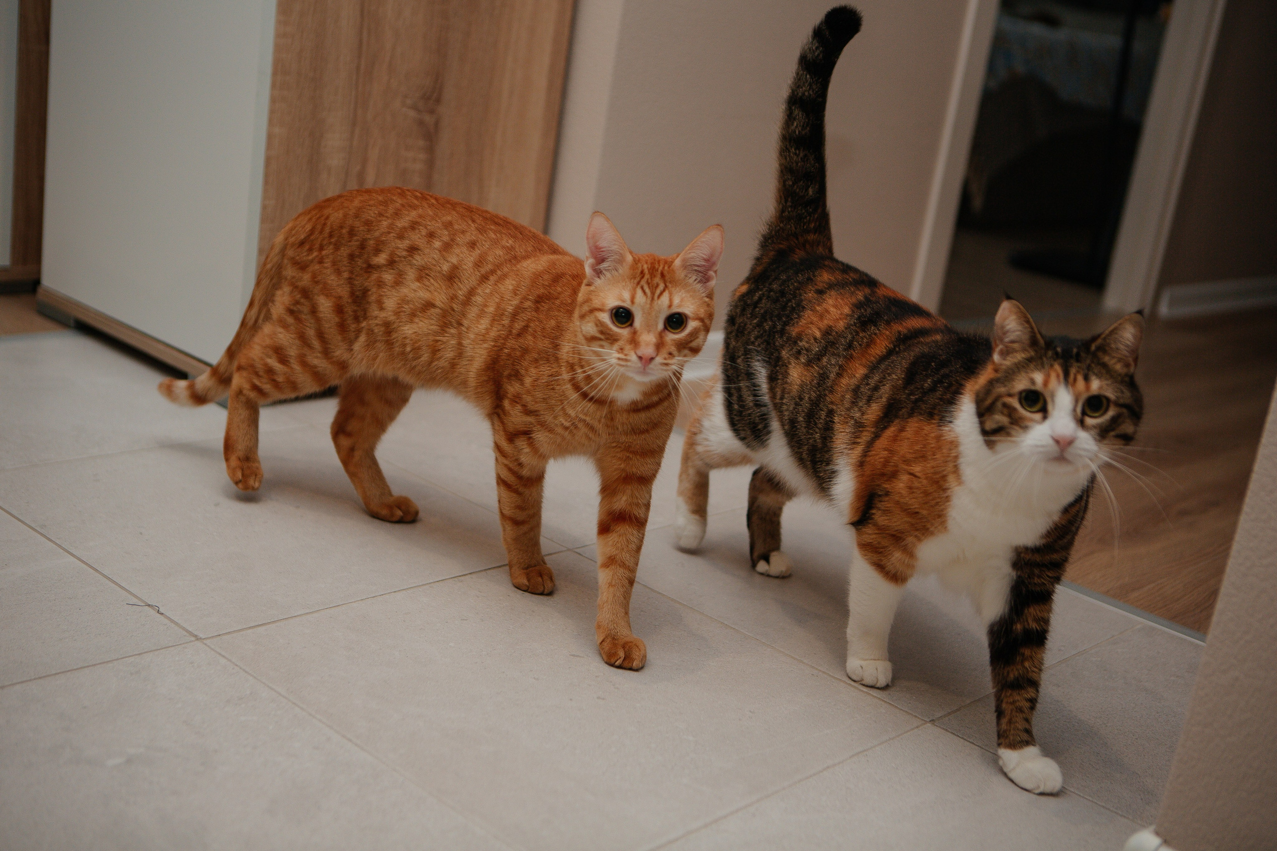 Роман и его семья. Семейный и детский фотограф в Москве Александра Мак