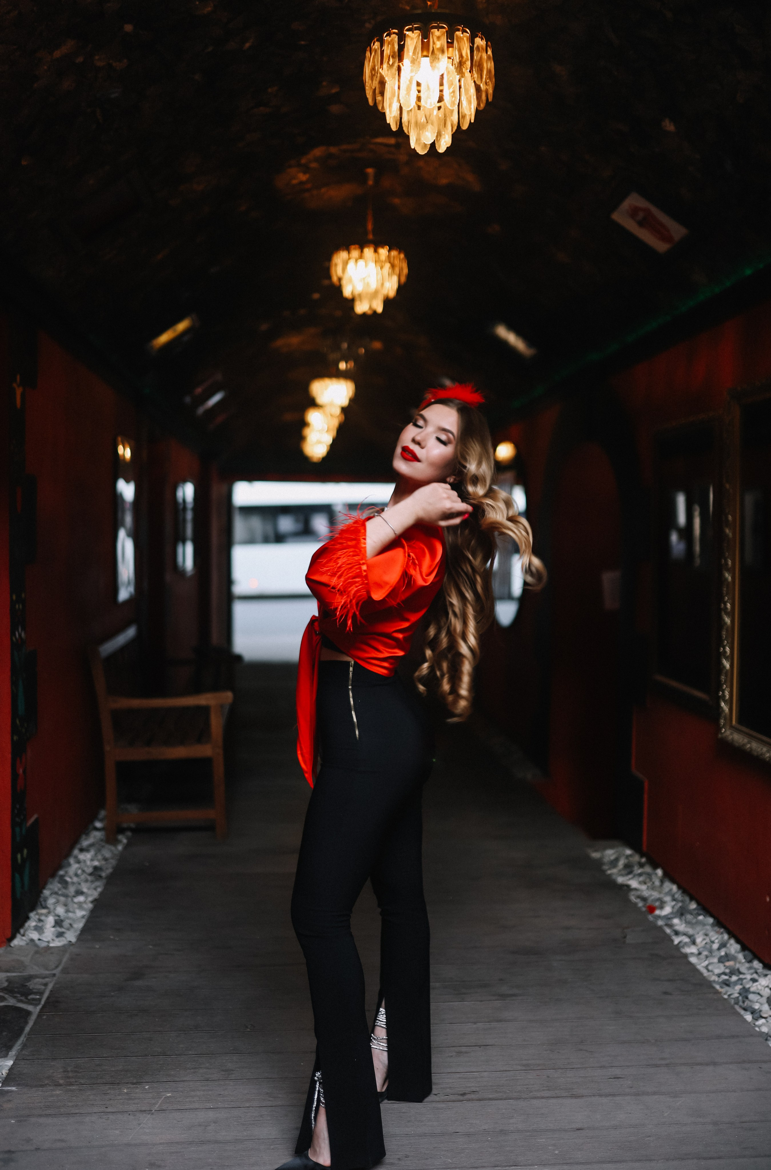 25.Диана и гости