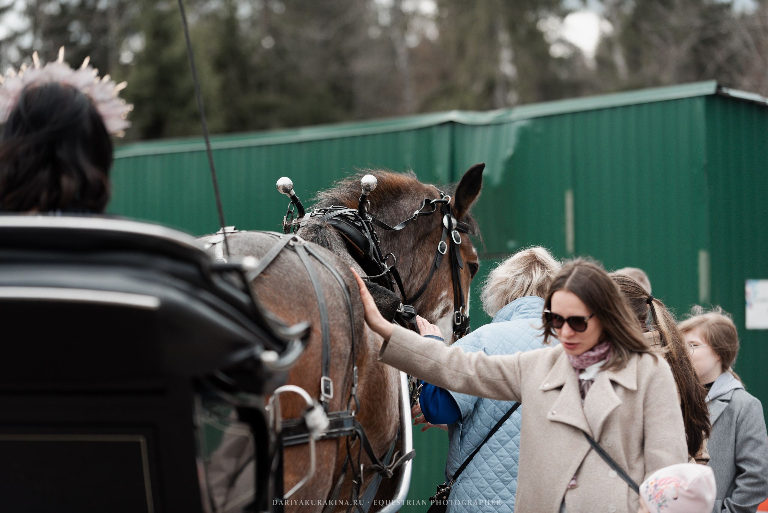 Конное представление «Дыхание Звёзд». Конный фотограф Куракина Дарья • Фотосессии с лошадьми