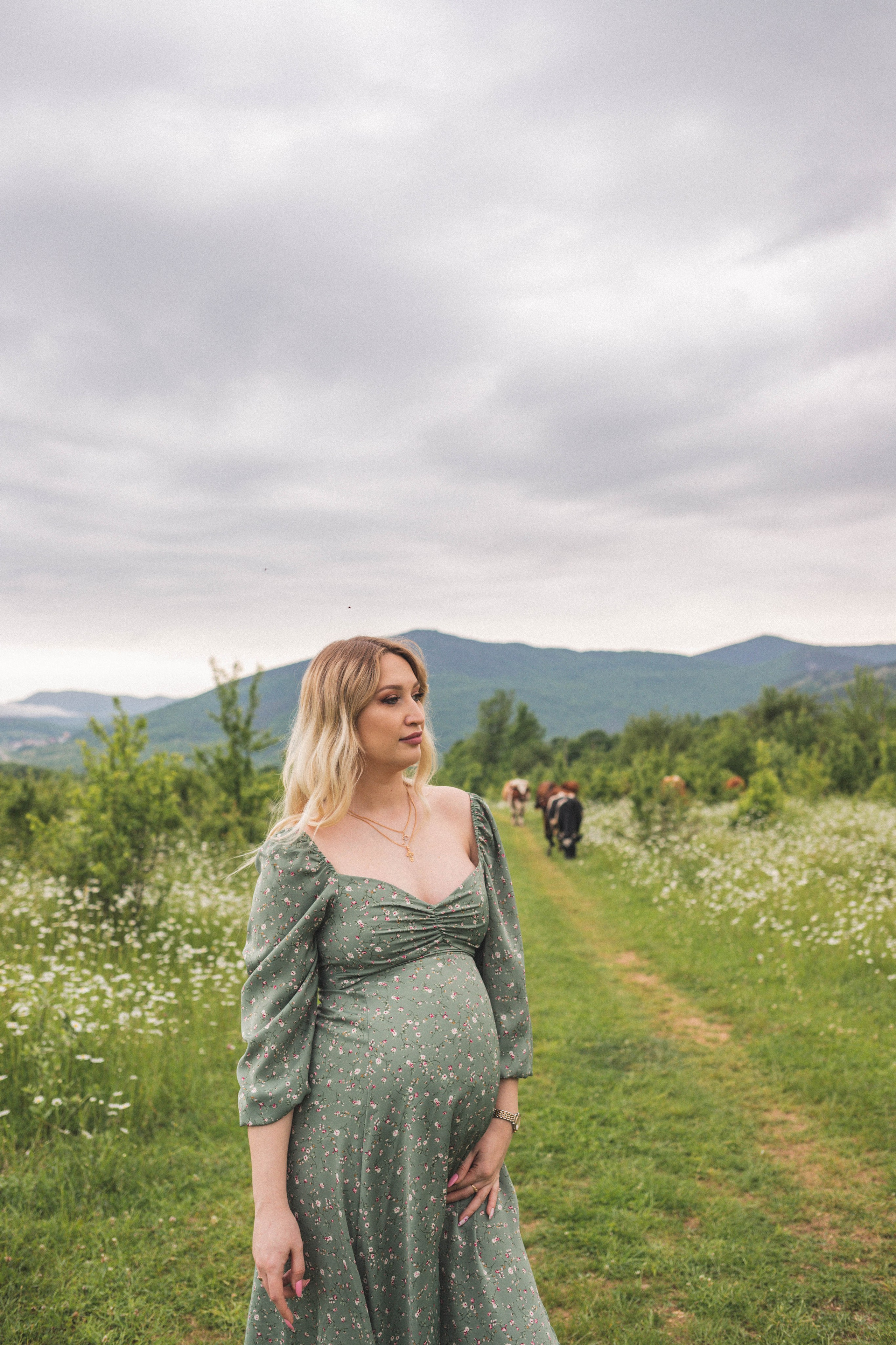 РОМАШКИ. Фотограф Немазенко Ольга