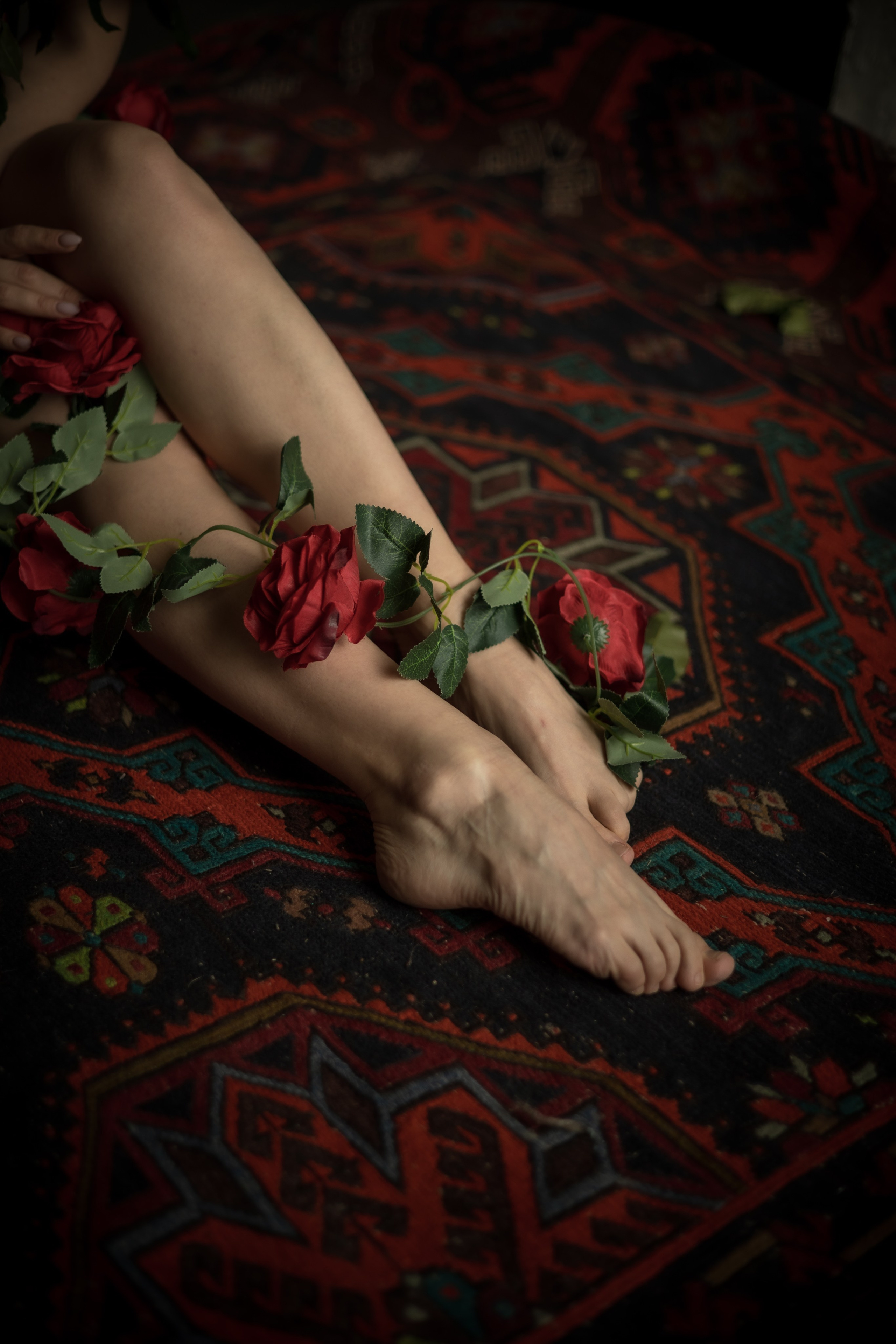 Роза. Фотограф в Москве Дарья Гоглева