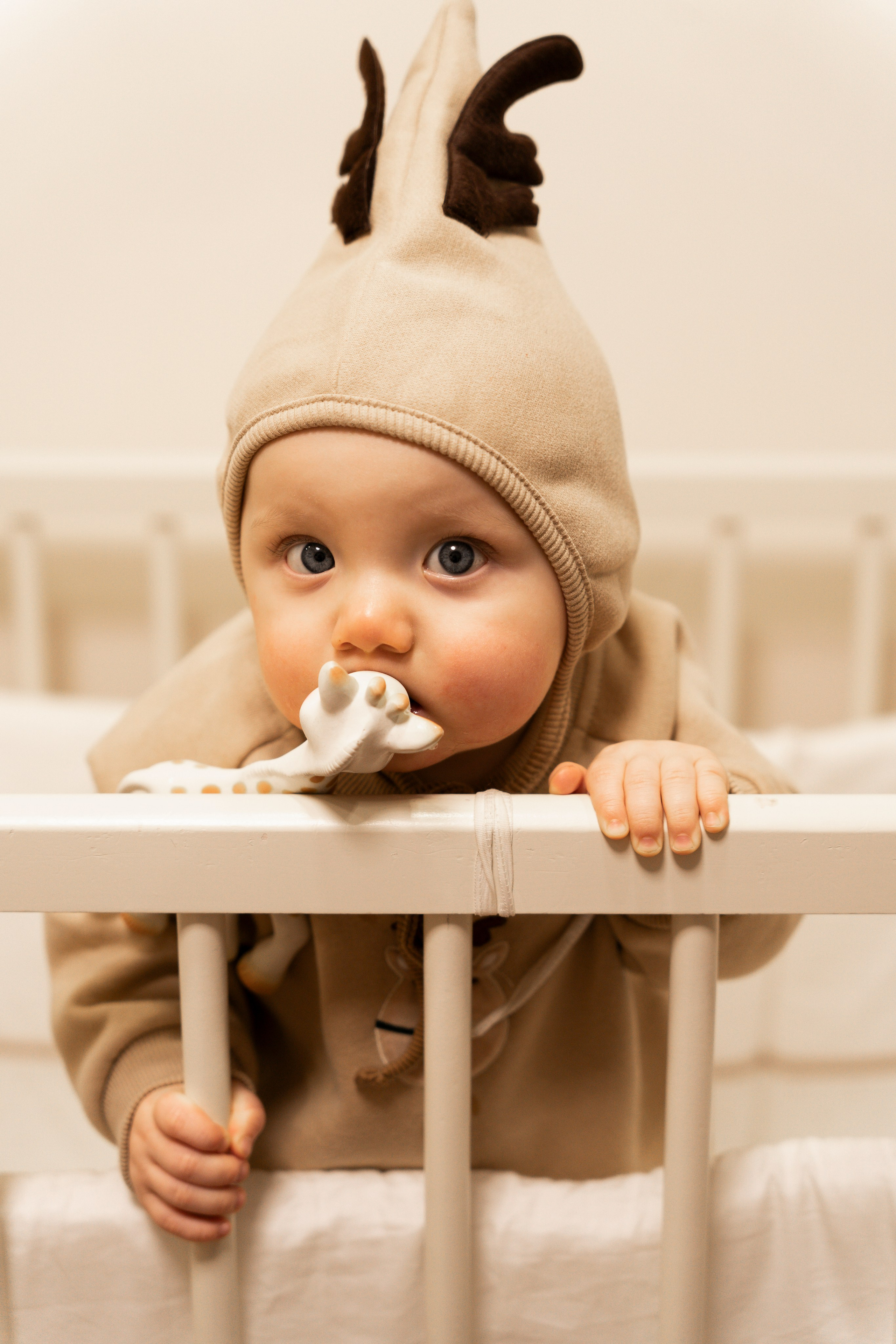 Новогодние тройняшки. Главная