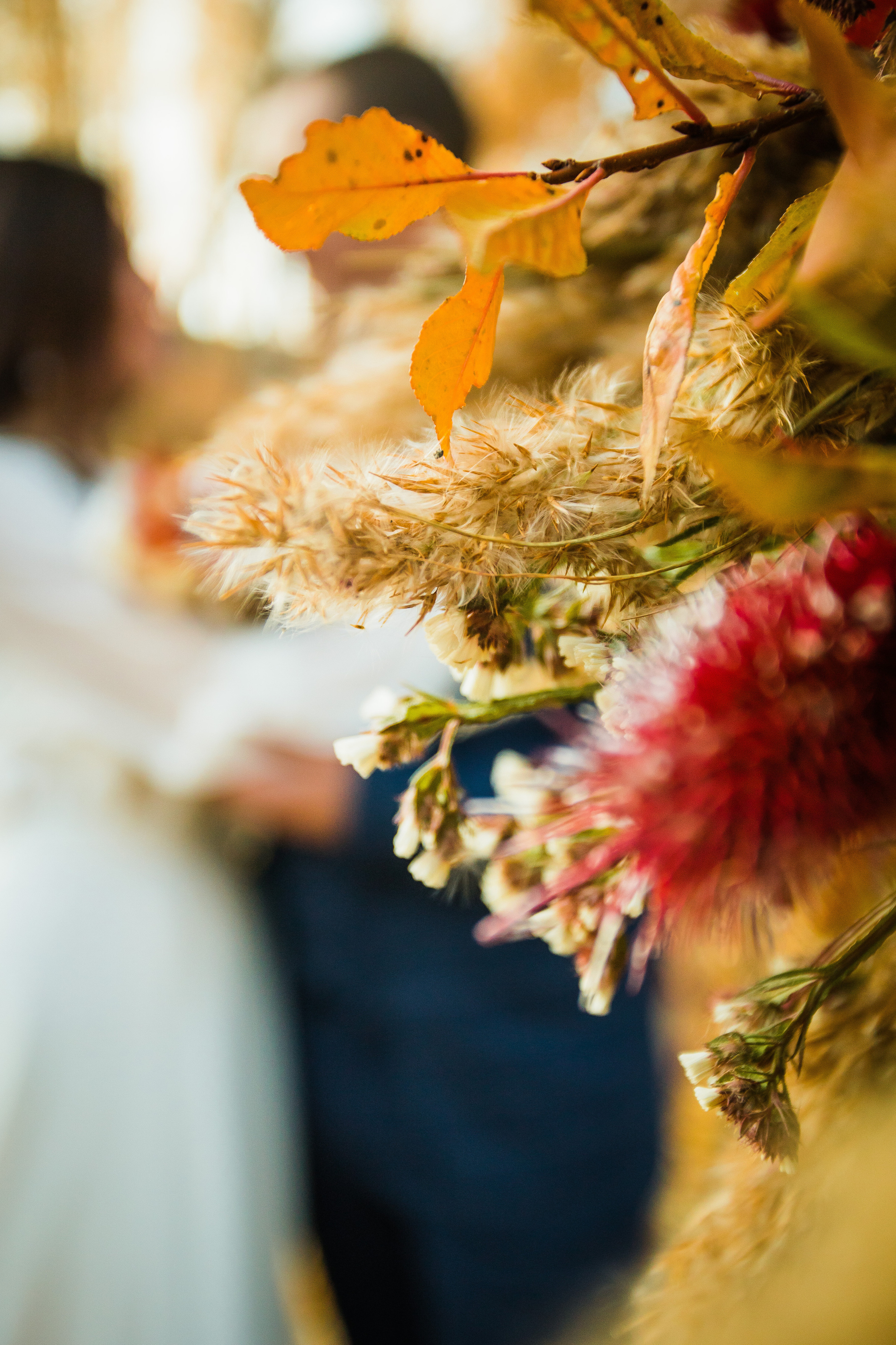 Владимир и Лидия. Свадебный, семейный, портретный фотограф Челябинск