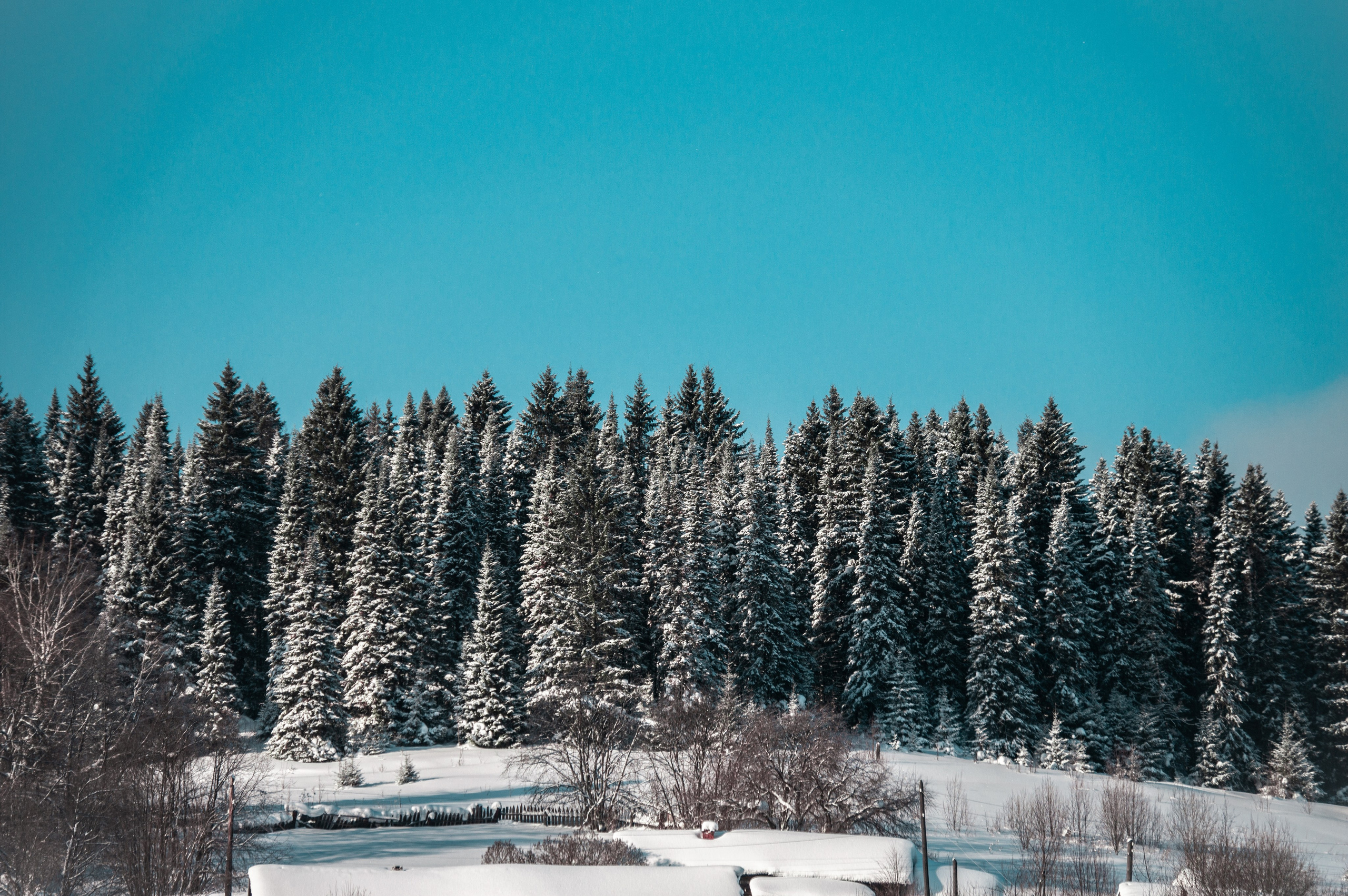 Эстетика еб{деревней}й. Место {не}банальных фото