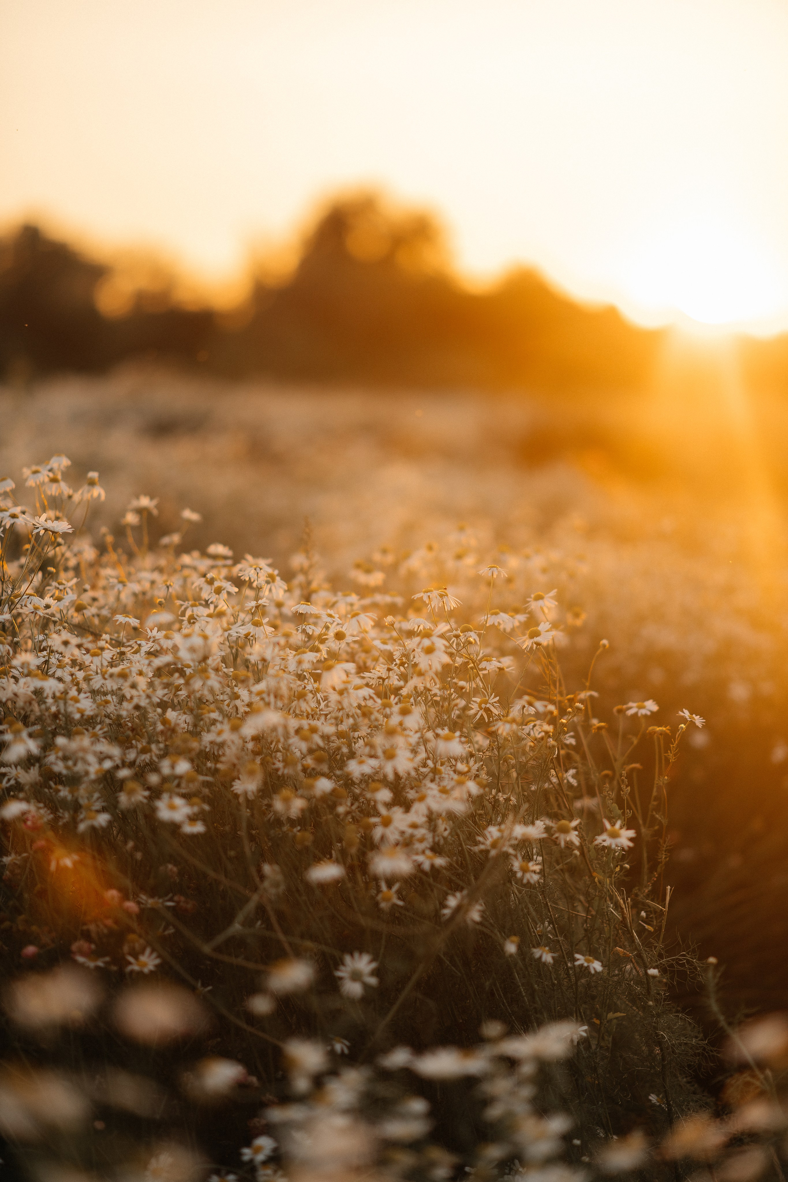 Семейные съемки. Главная