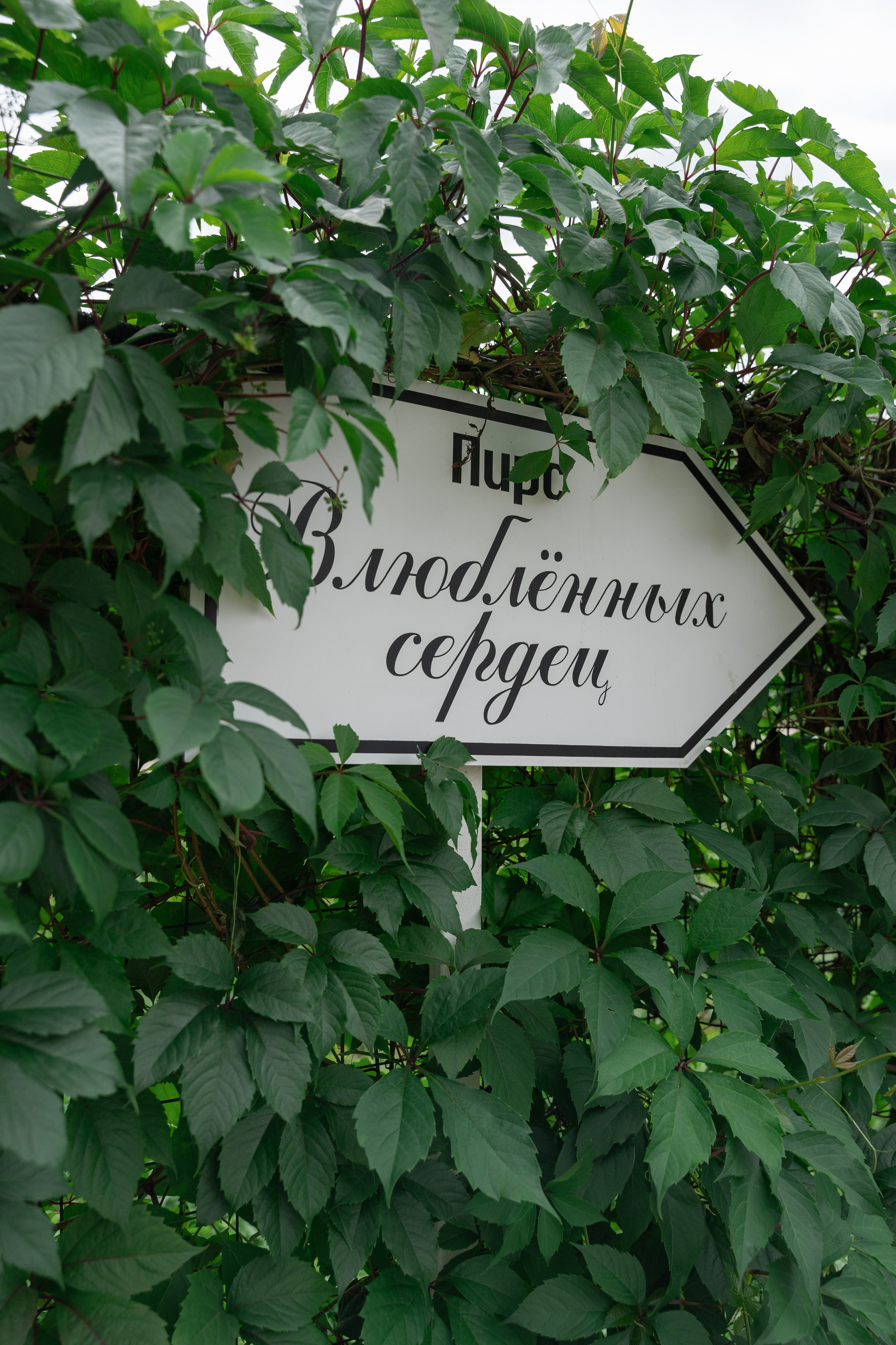 Константин и Валерия. Свадебный фотограф Руслан Хасанов