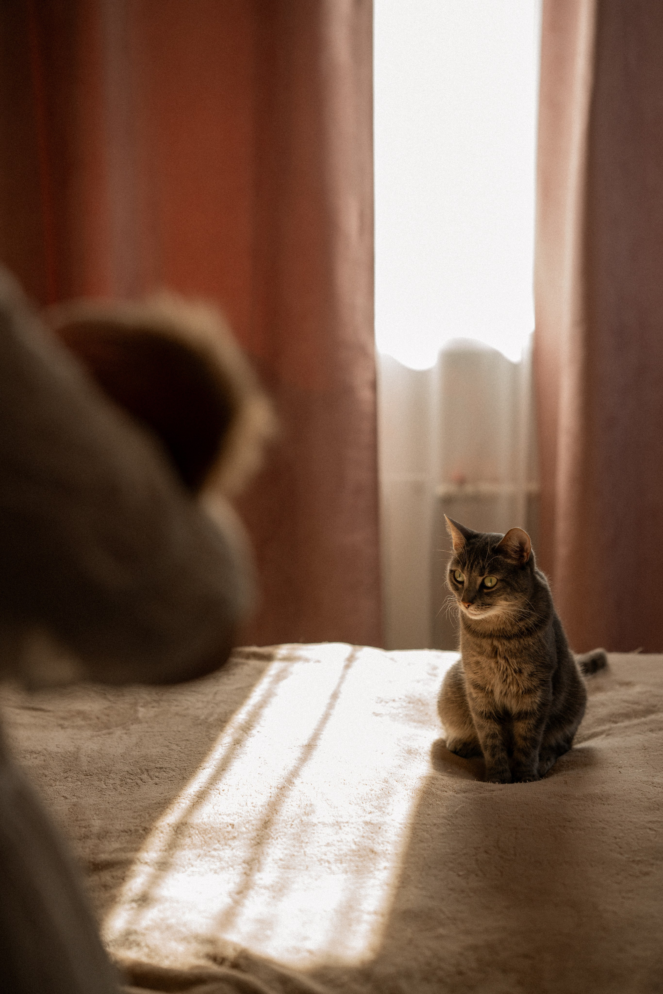 Егору 10 дней. Семейный фотограф в Санкт-Петербурге — Наташа Тарасенко