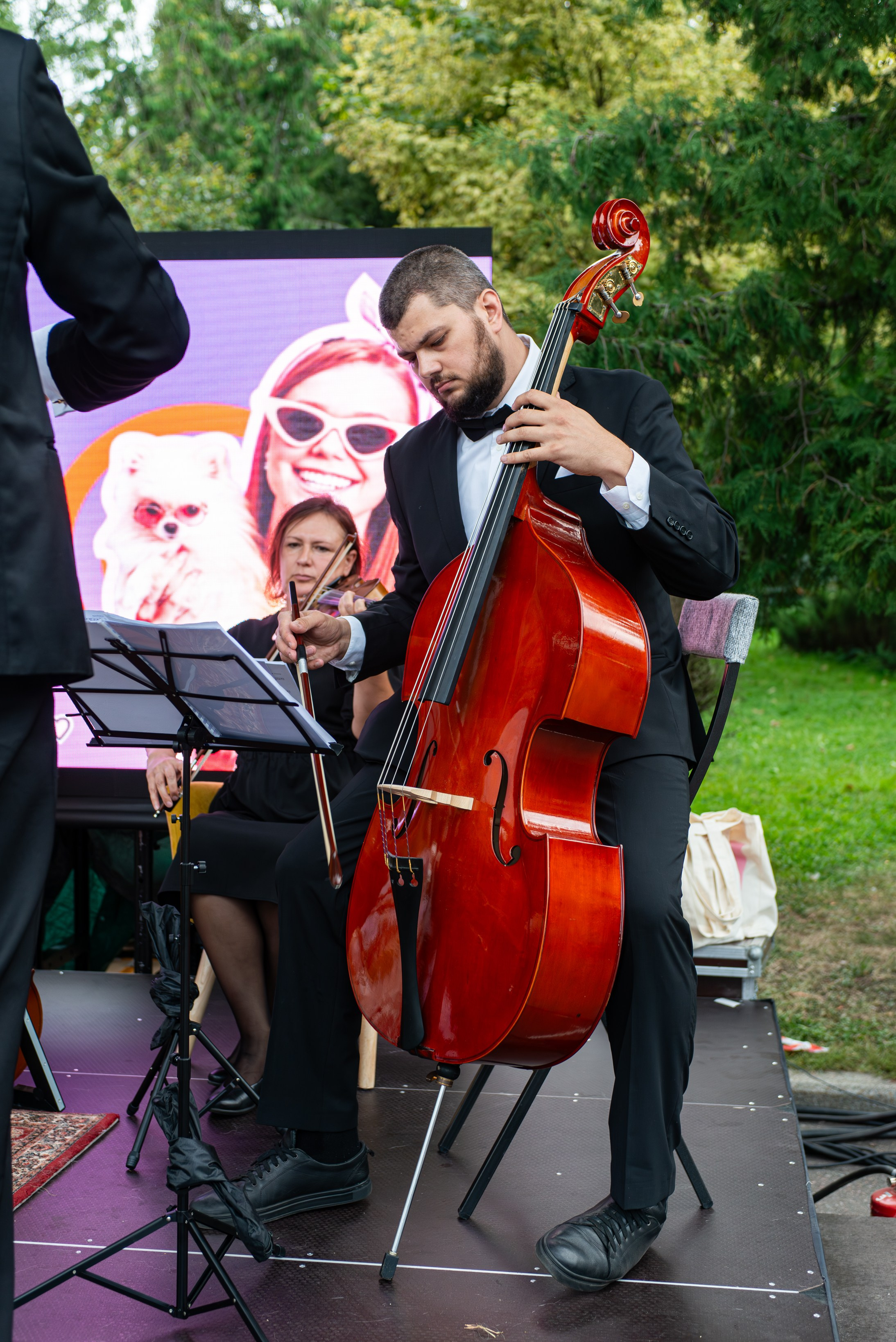 Репортажная съёмка фестиваля 4 лапы. Репортажный и персональный фотограф в Москве