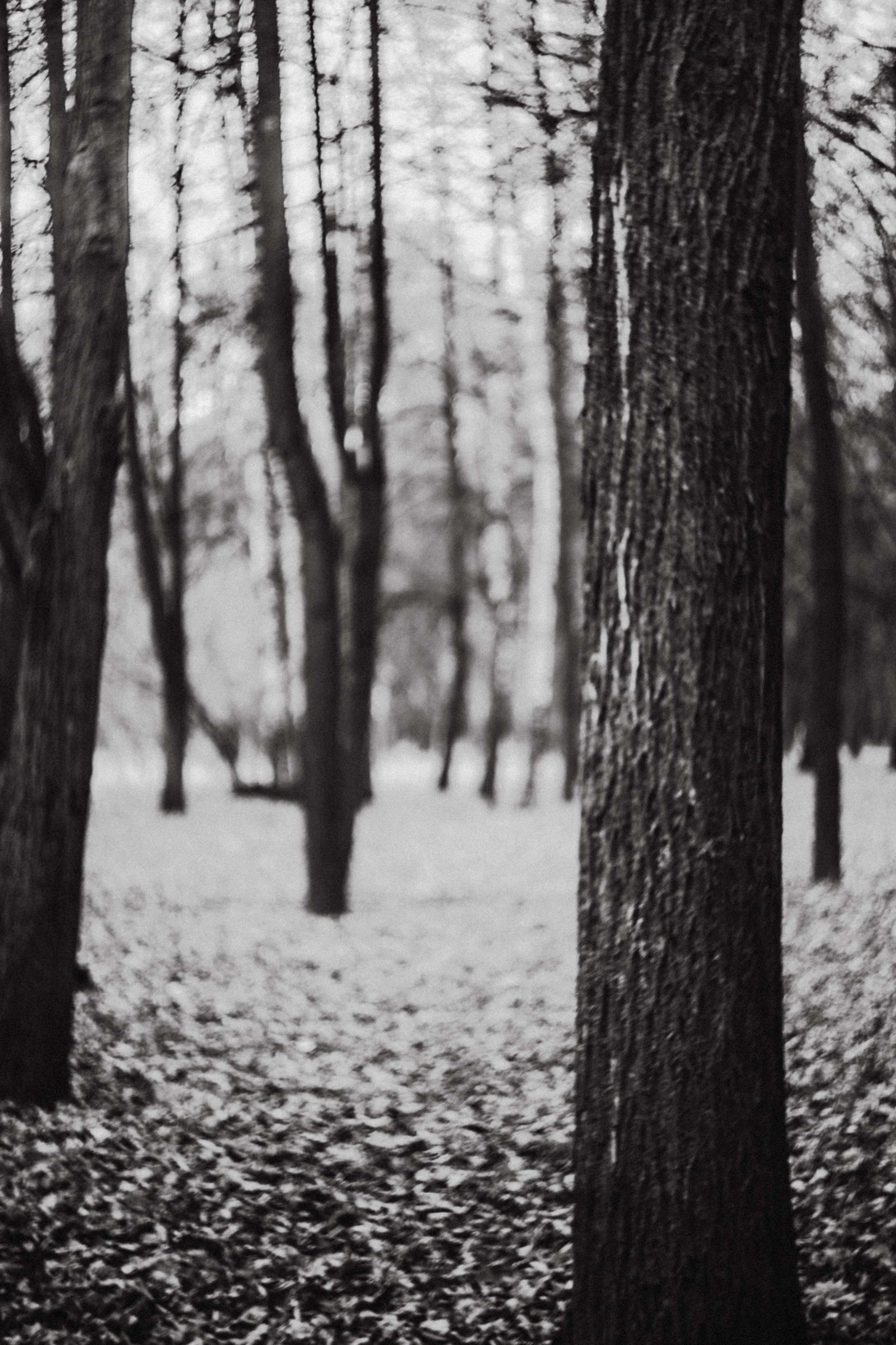 Жанна и Даня. 18-летие. Фотограф в Нижнем Новгороде