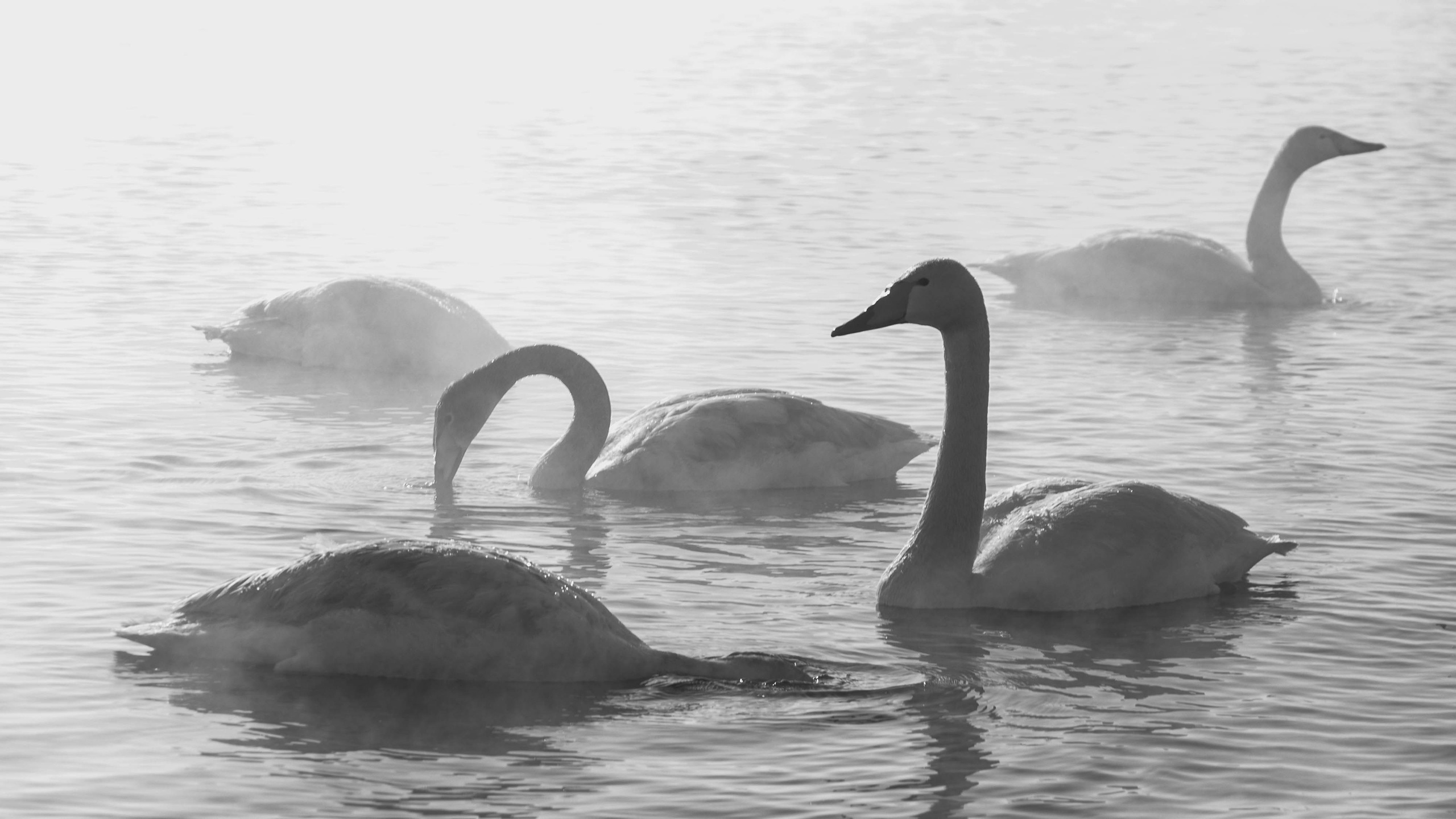 Путешествия. Anastasiia Kron