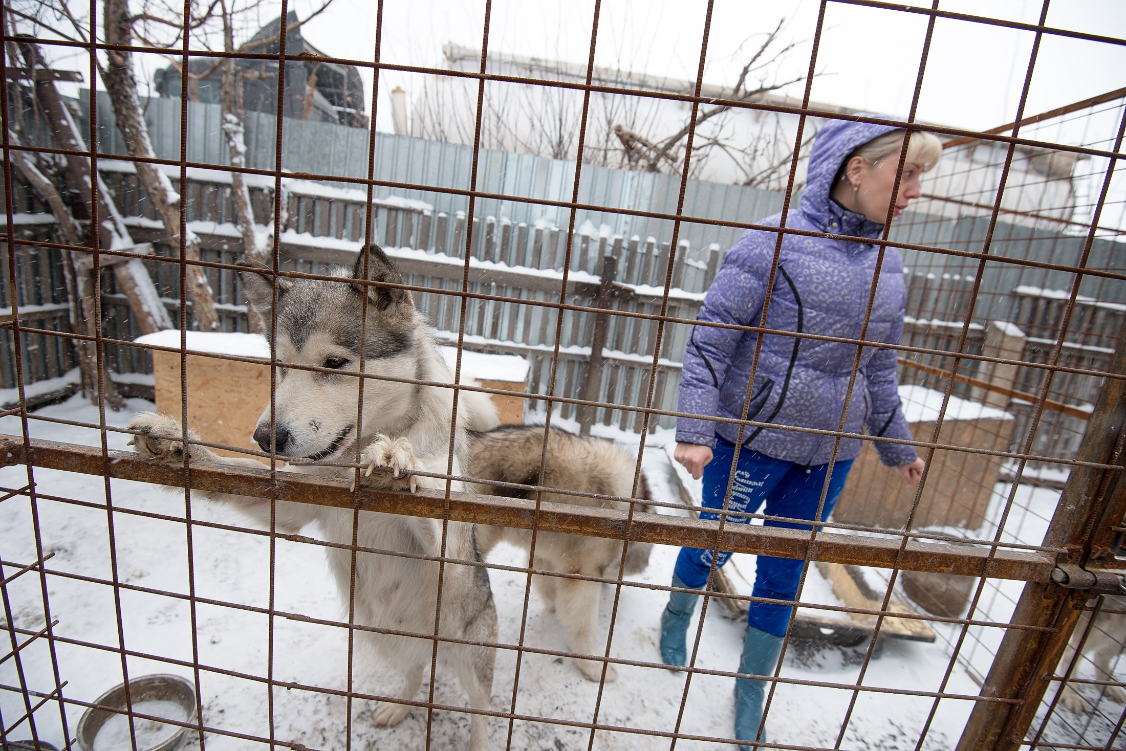 Для СМИ. Фотограф в Калининграде Сулейманов Амирхан