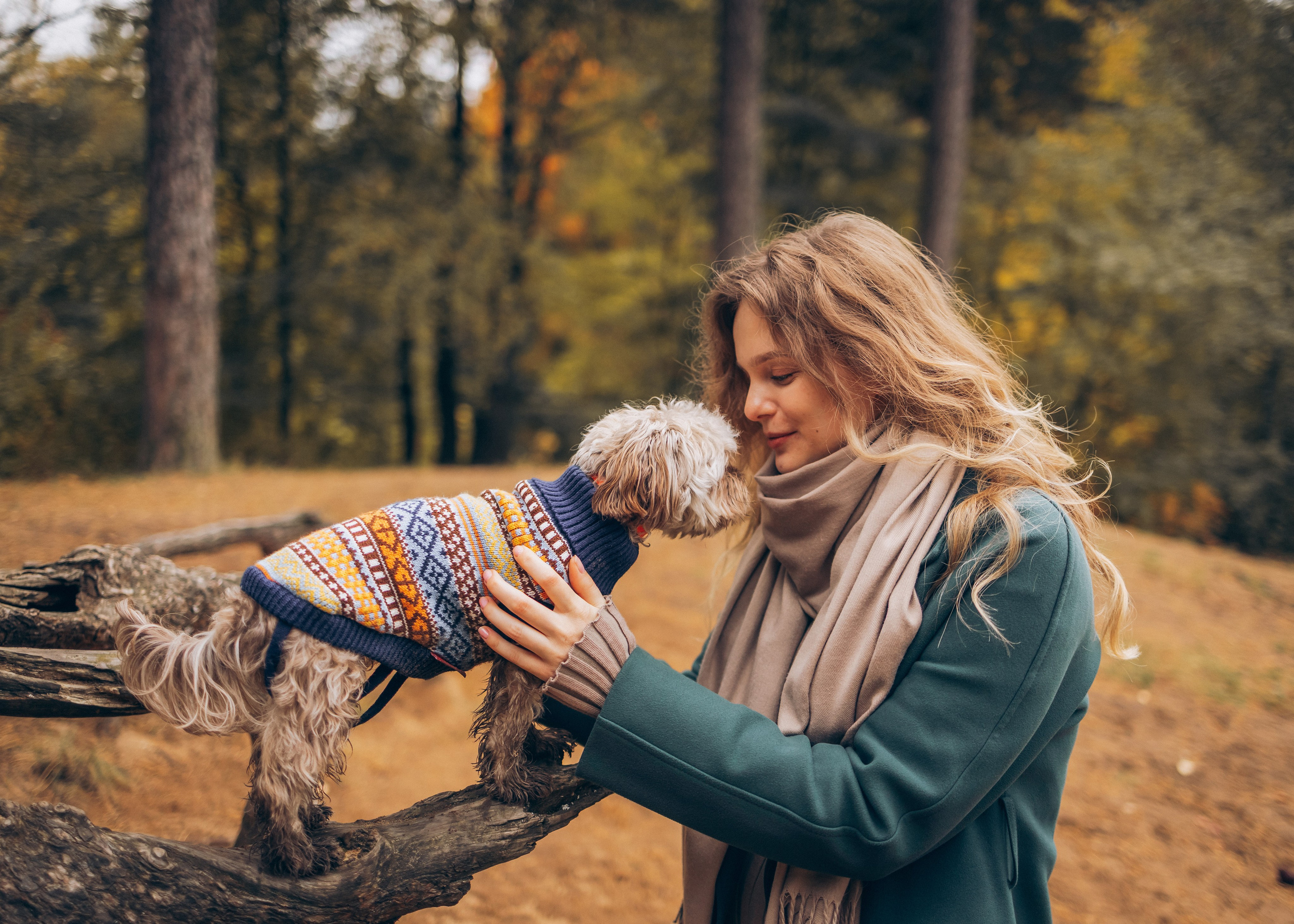 Юля, Саша и Чара. Семейный фотограф В Москве Александра Дейкун