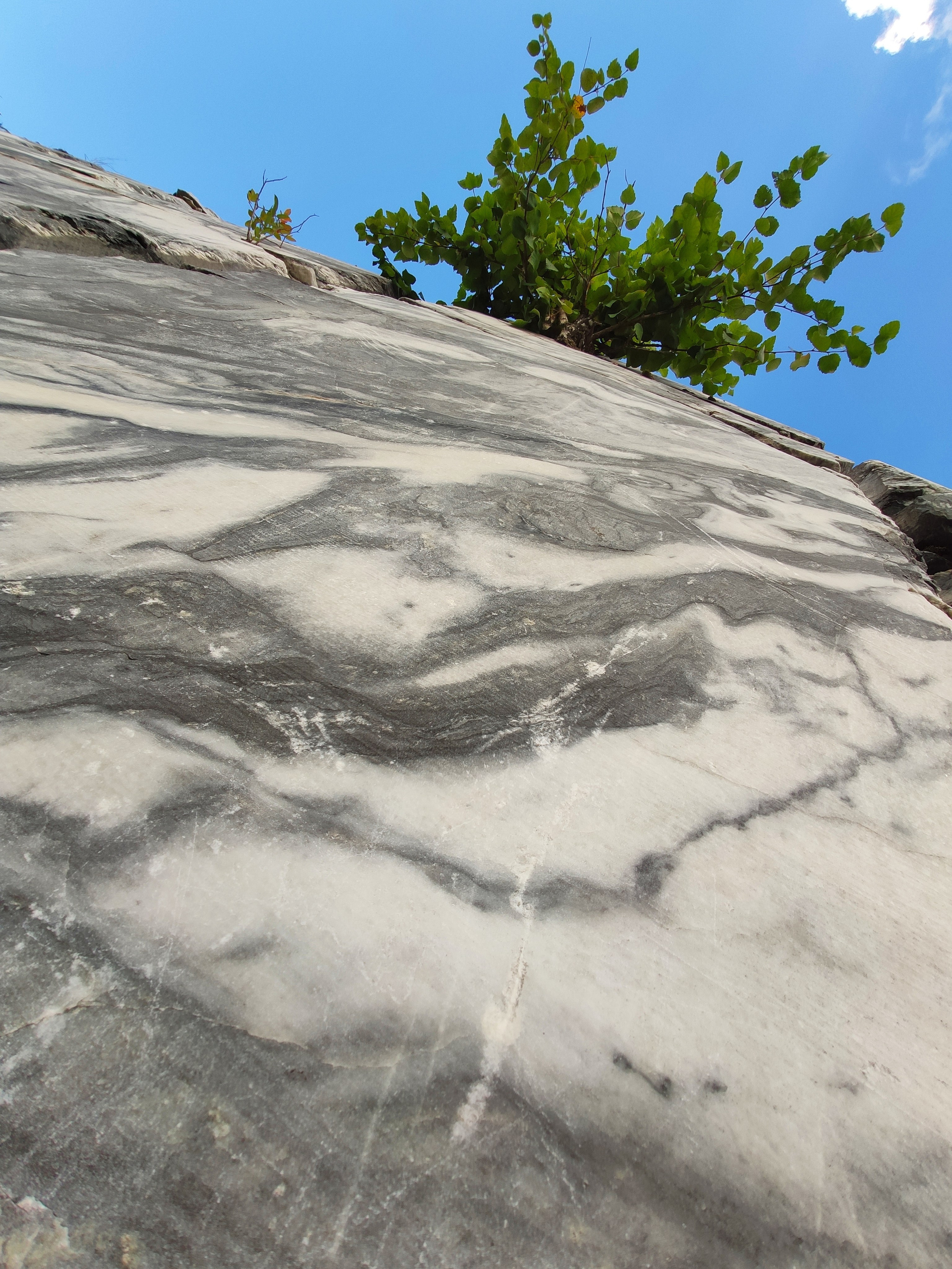 Погода, парк, виды - все было шикарно, но 2/3 прогулки пришлось висеть на телефоне по работе, что отравило впечатления и оставило дикое желание вернуться