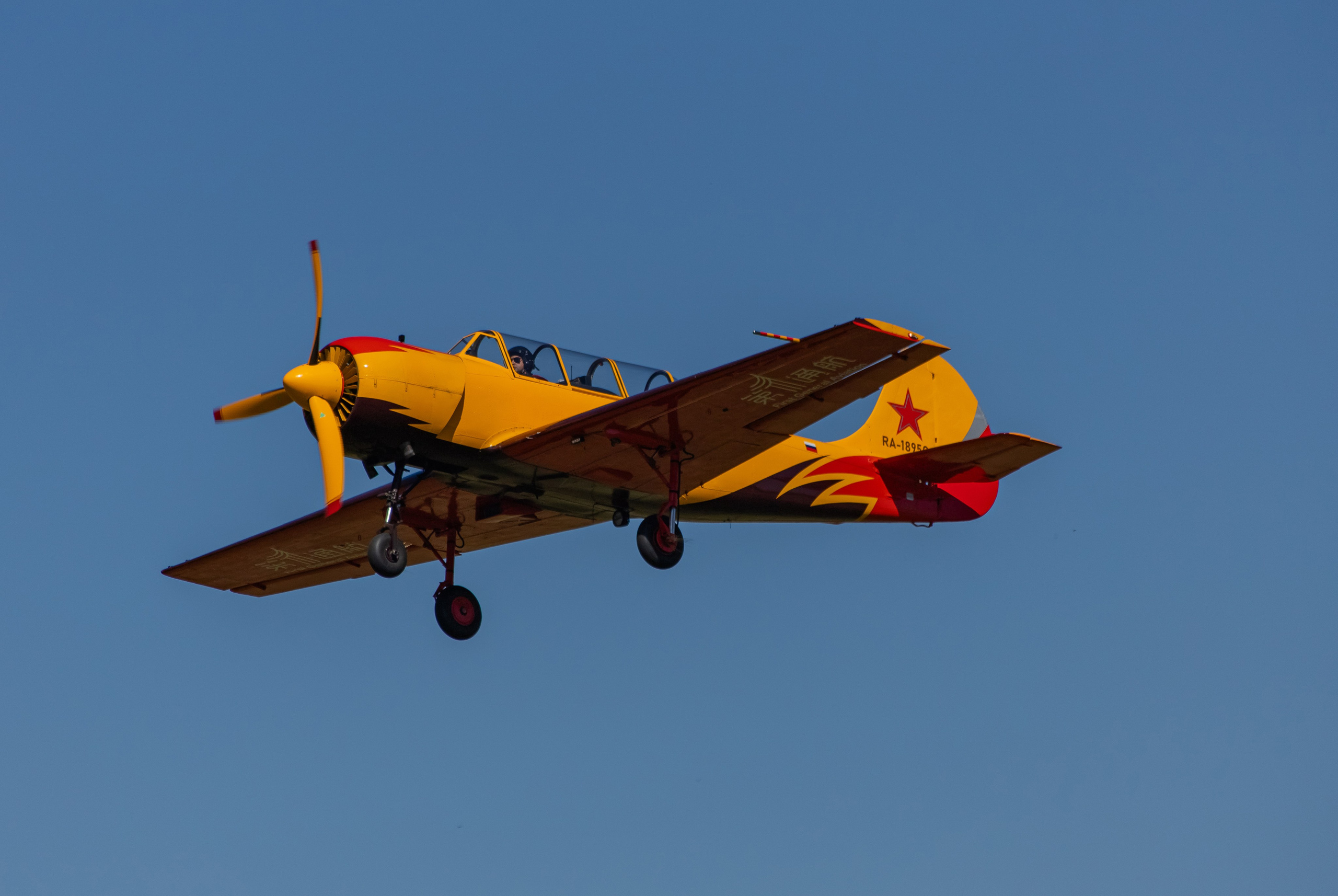 Крылья Пармы 2025 г. KATERINA VINOKUROVA ФОТОГРАФ ПЕРМЬ