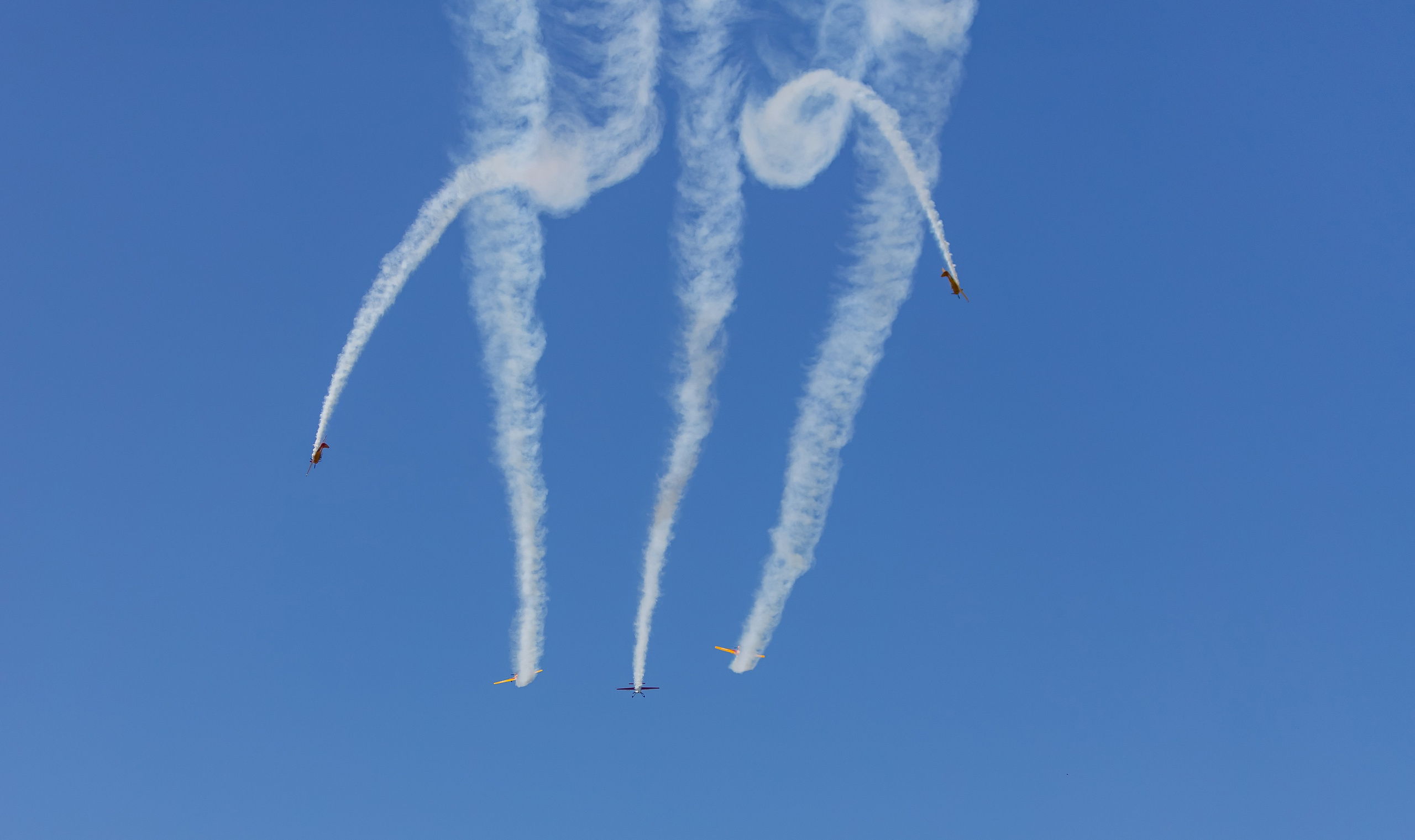 Крылья Пармы 2025 г. KATERINA VINOKUROVA ФОТОГРАФ ПЕРМЬ