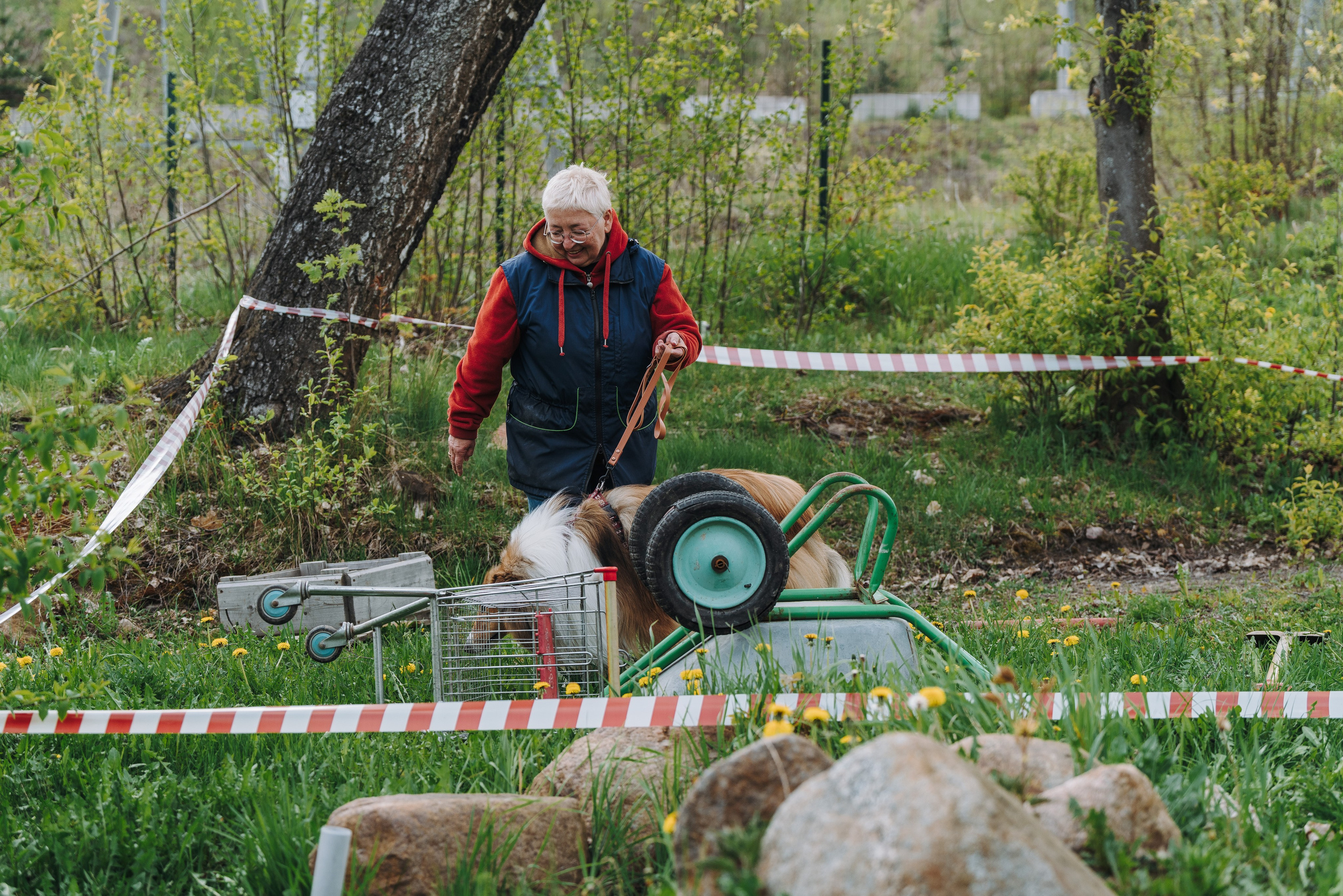 Соревнования по ноузворку в Лосево. Фотограф анималист в Спб недорого Олеся Майорова