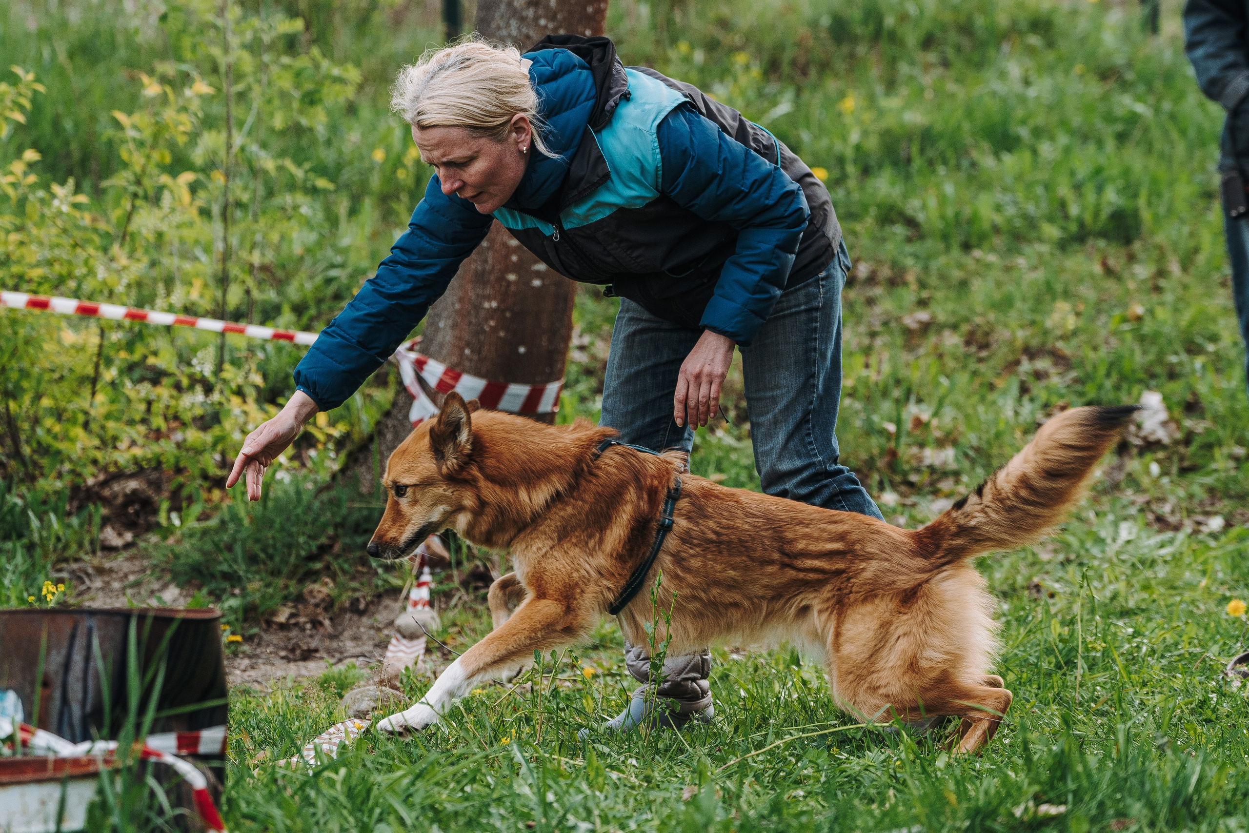 Соревнования по ноузворку в Лосево. Фотограф анималист в Спб недорого Олеся Майорова