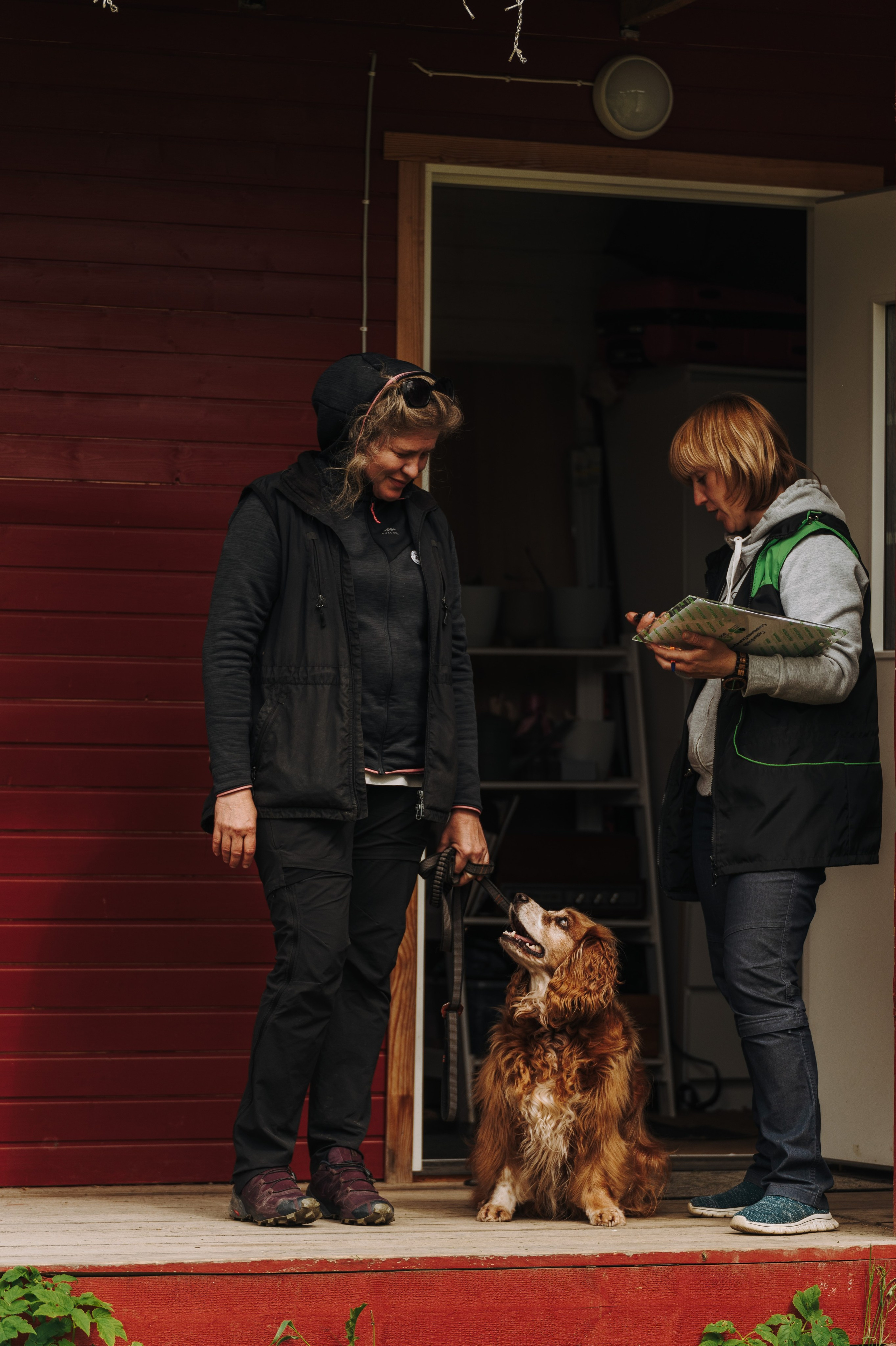 Соревнования по ноузворку. Фотограф анималист в Спб недорого Олеся Майорова