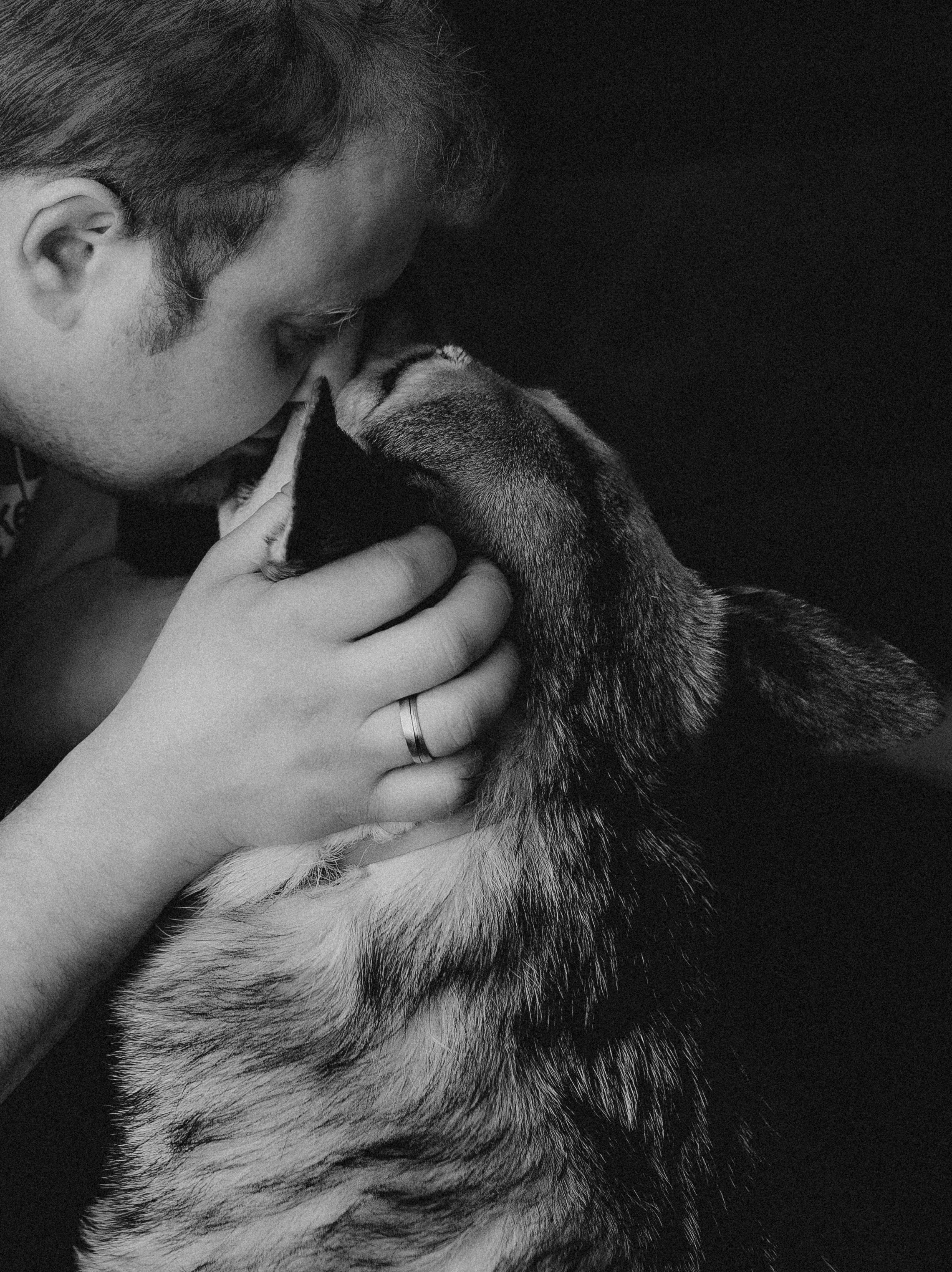 Рэй, Кузя, Ольга и Александр. Фотограф анималист в Спб недорого Олеся Майорова