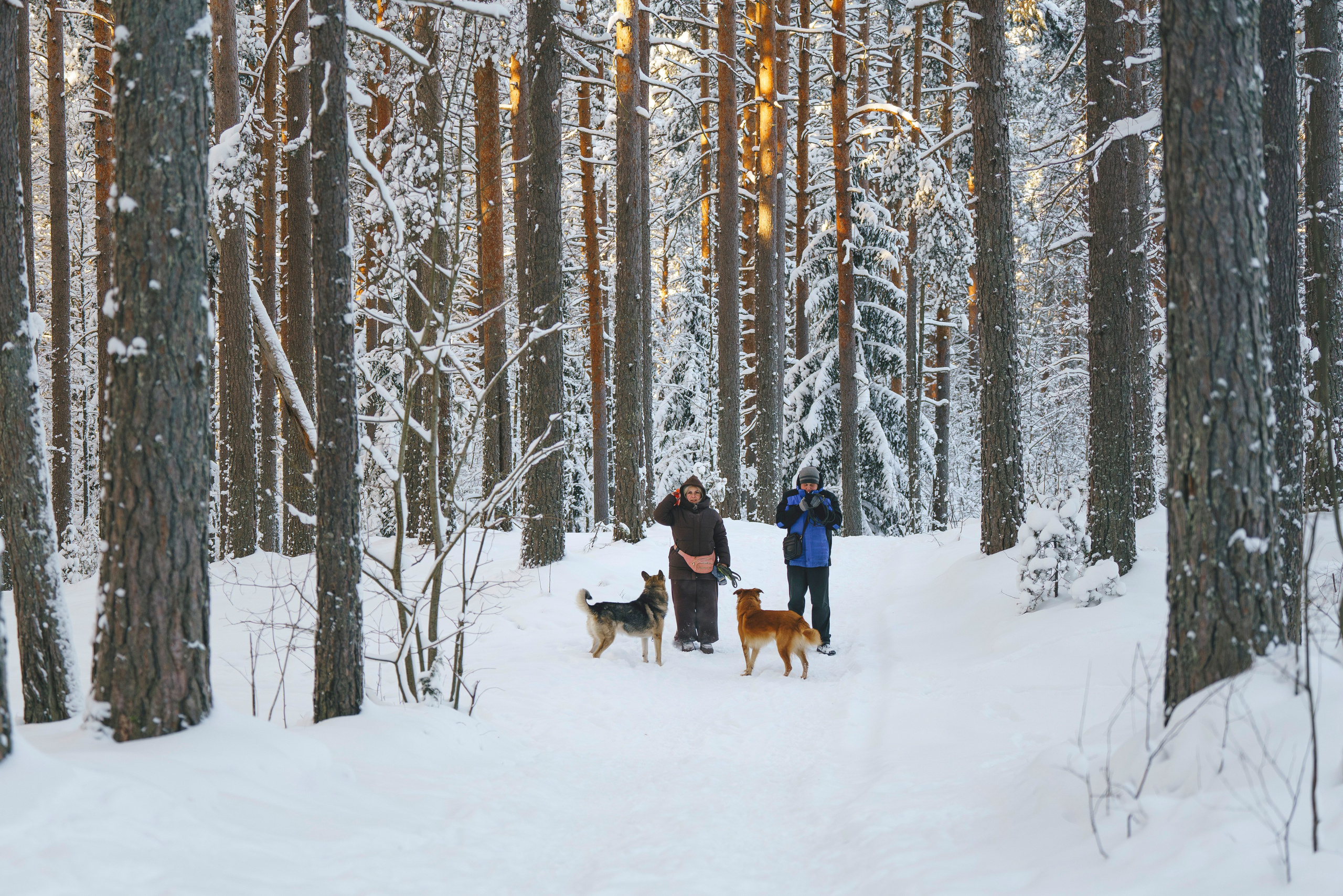 Рэй, Кузя, Ольга и Александр. Фотограф анималист в Спб недорого Олеся Майорова