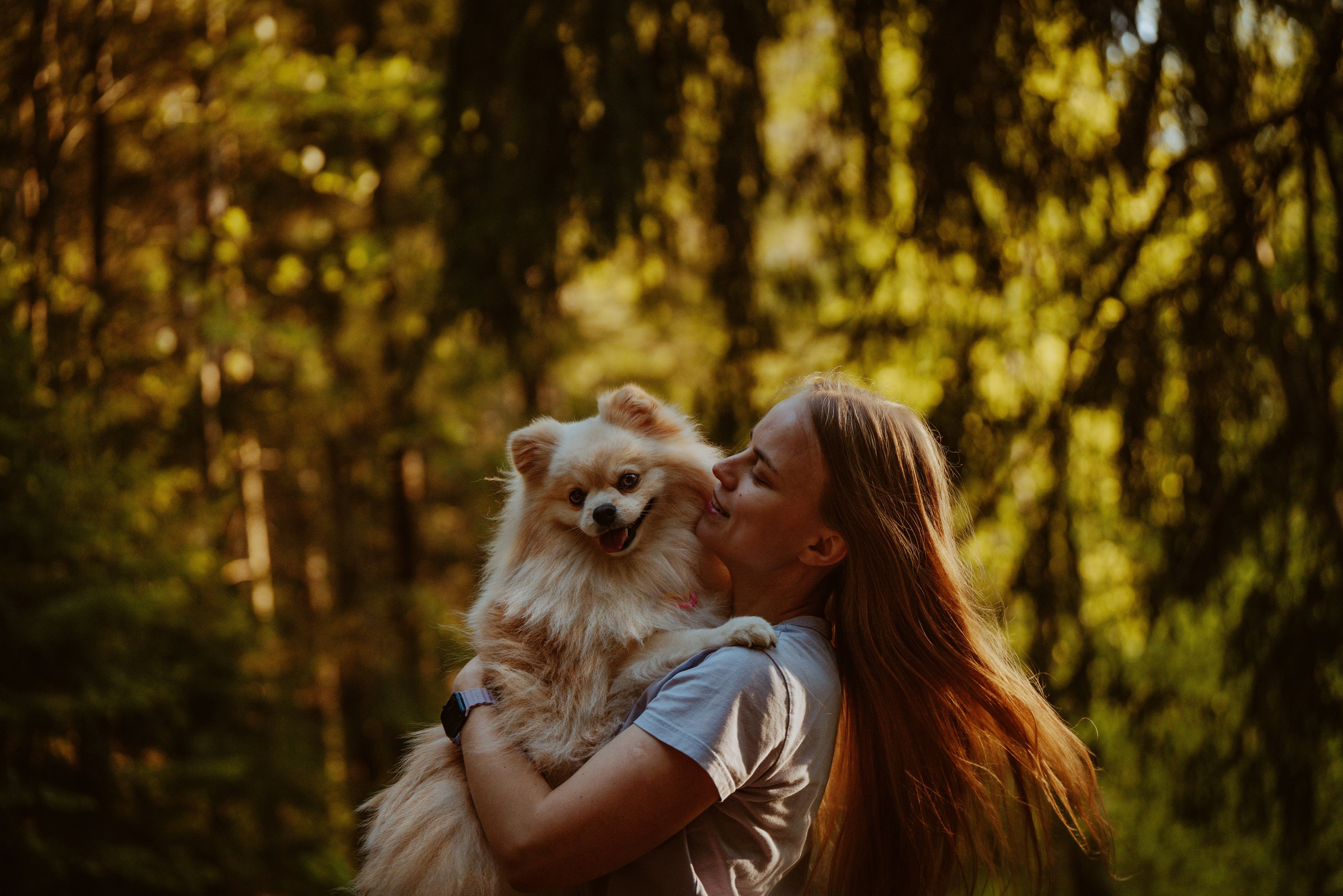 Фотосессия с собачкой в лесу. Фотограф анималист в Спб недорого Олеся Майорова