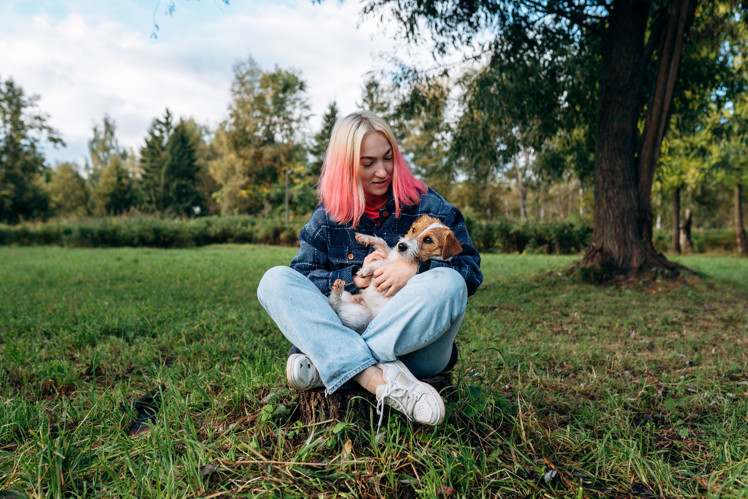 Фотосессия с маленькой собакой Спб. Фотограф анималист в Спб недорого Олеся Майорова