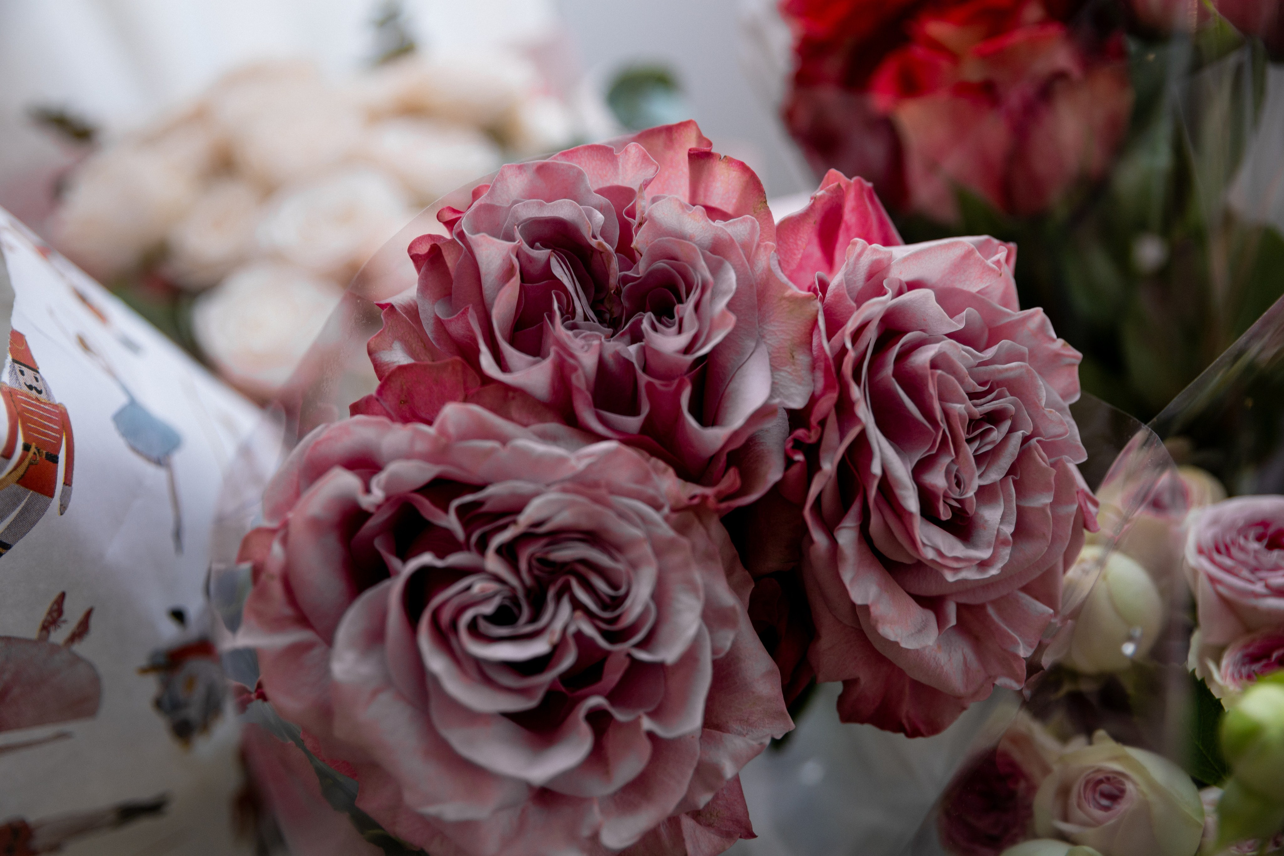 Банкет/Ресторан. Свадебный и семейный фотограф в Оренбурге Тасжан Аккелбеков