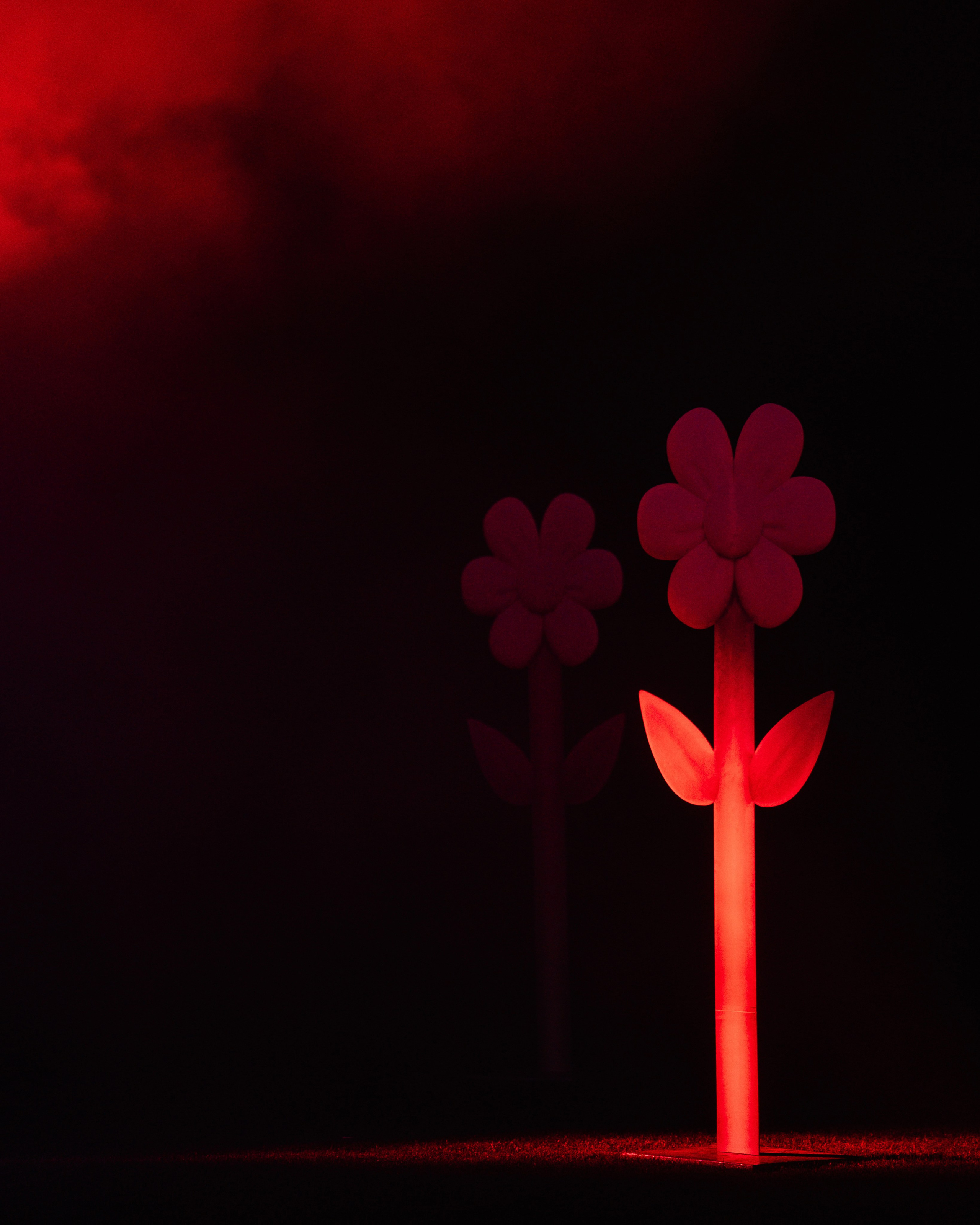 Навсегда начинается здесь. Свадебный и семейный фотограф в Анапе Елена Полетаева