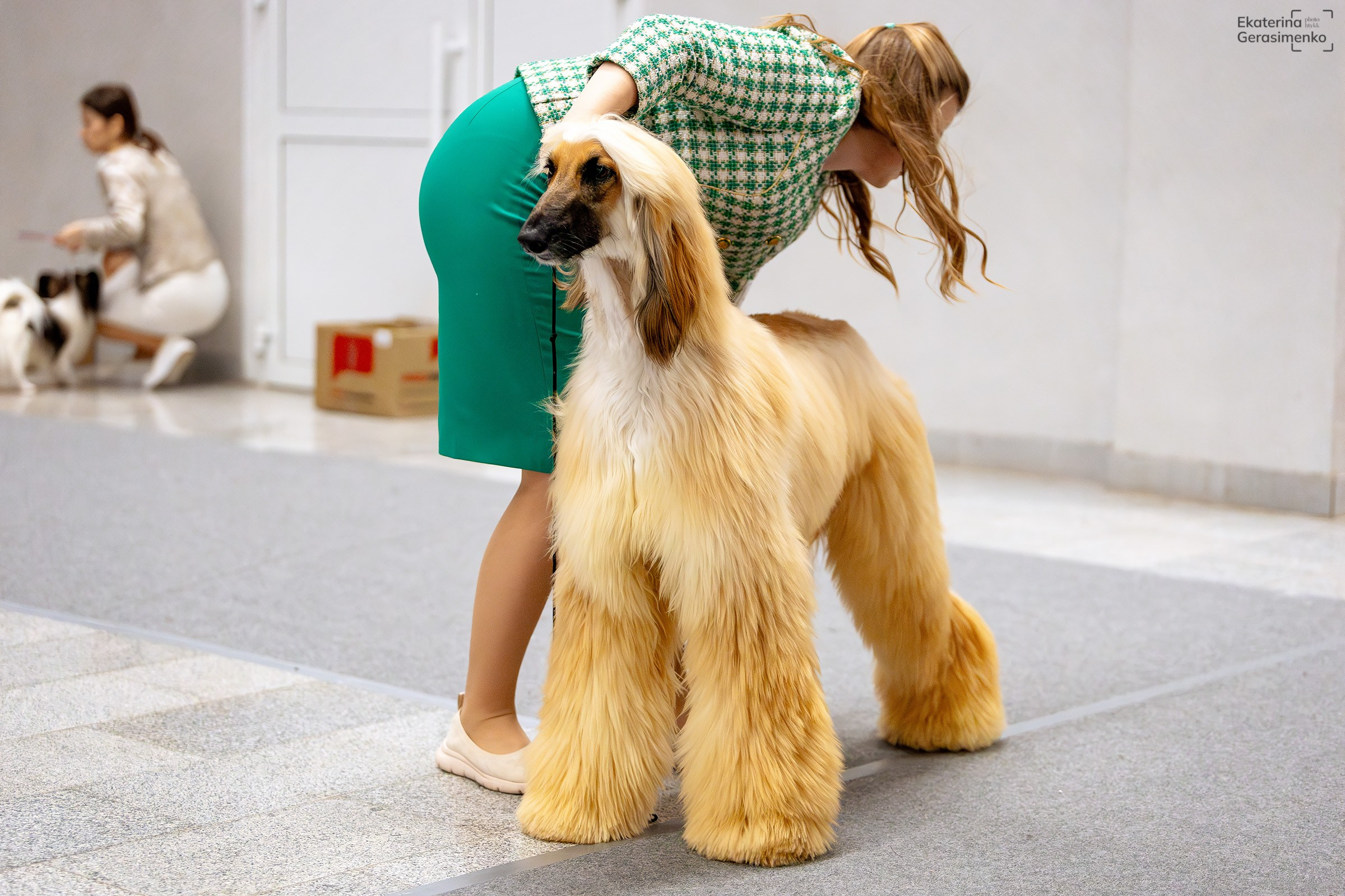 18 января 2025, Выставка РКФ, г. Пермь. Htykk_photo