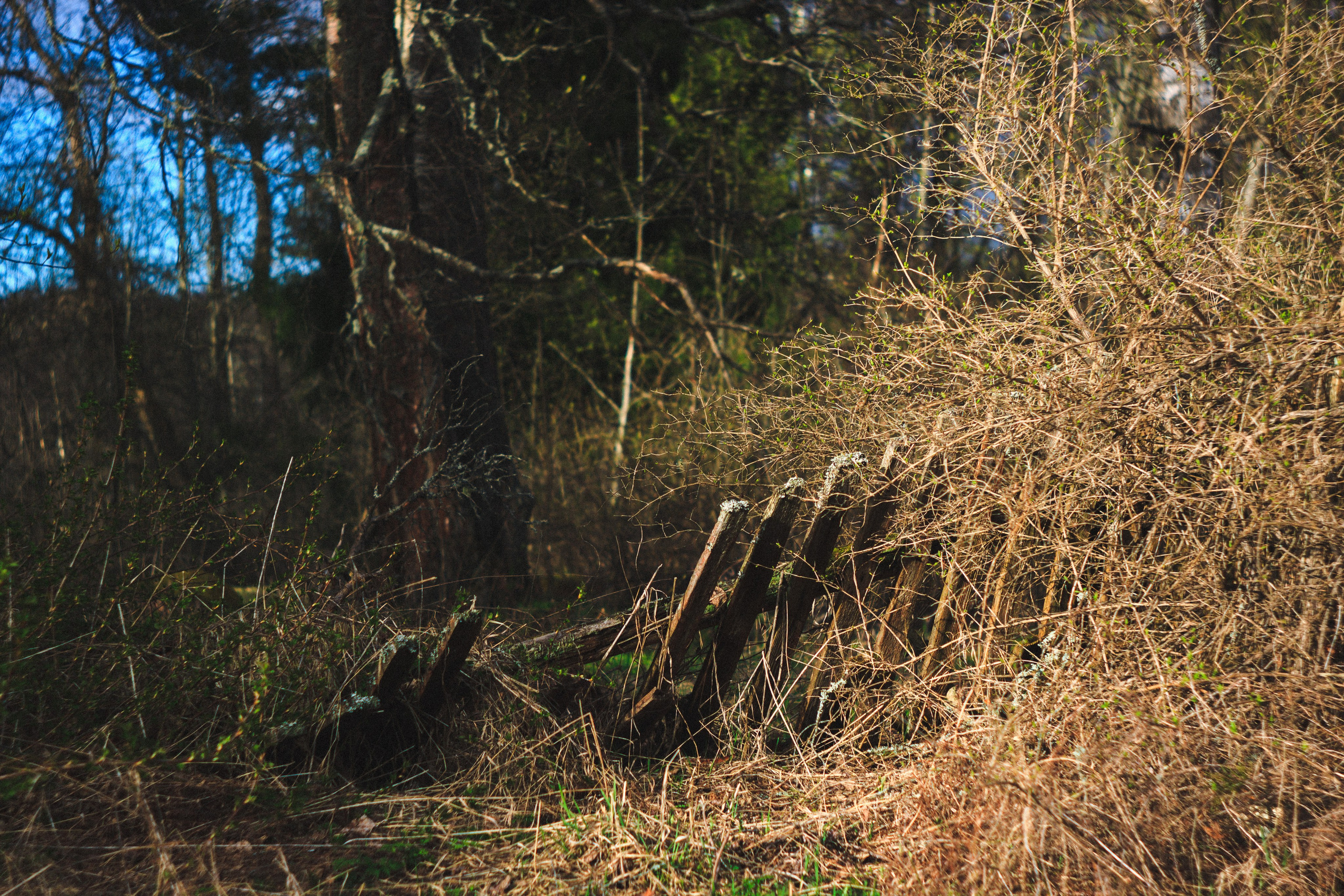 Деревня. Den Mirov — Photographer, Musician