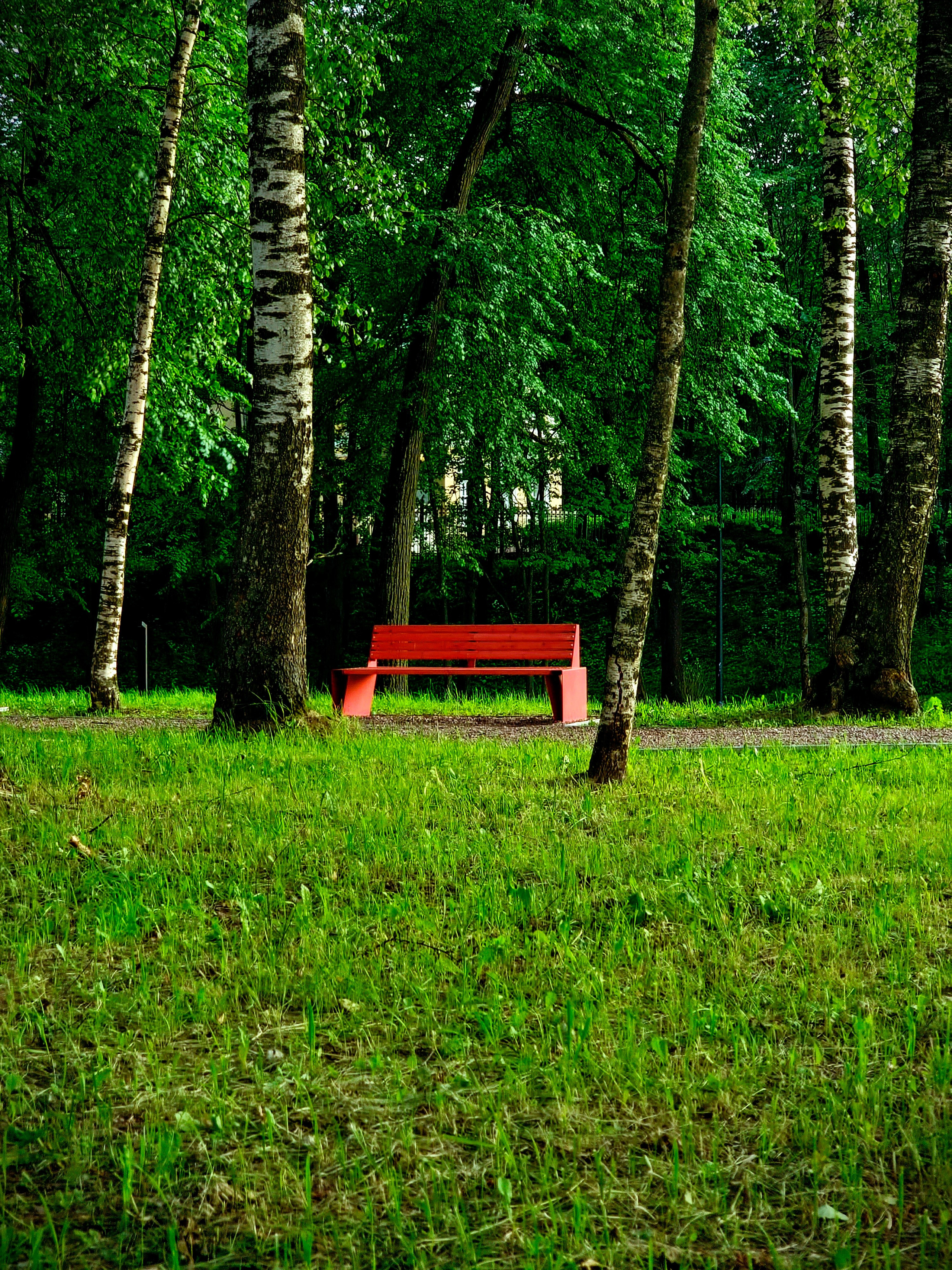 Июль 2025. Den Mirov — Фотограф, Музыкант