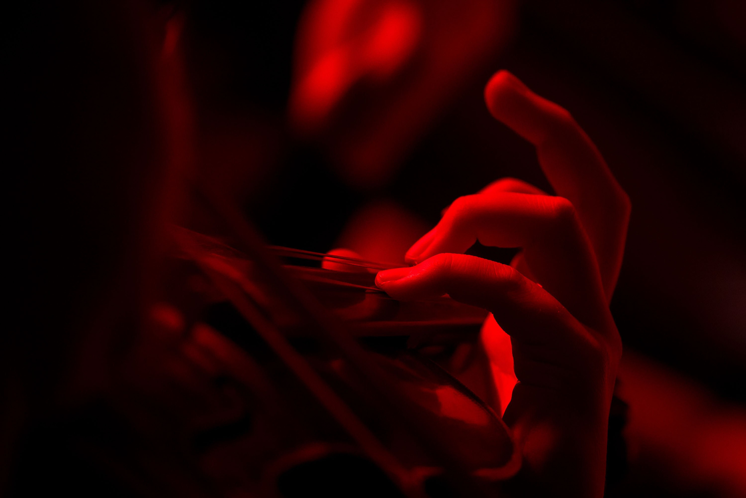 XXI Международный джазовый фестиваль. Репортажный фотограф во Владивостоке