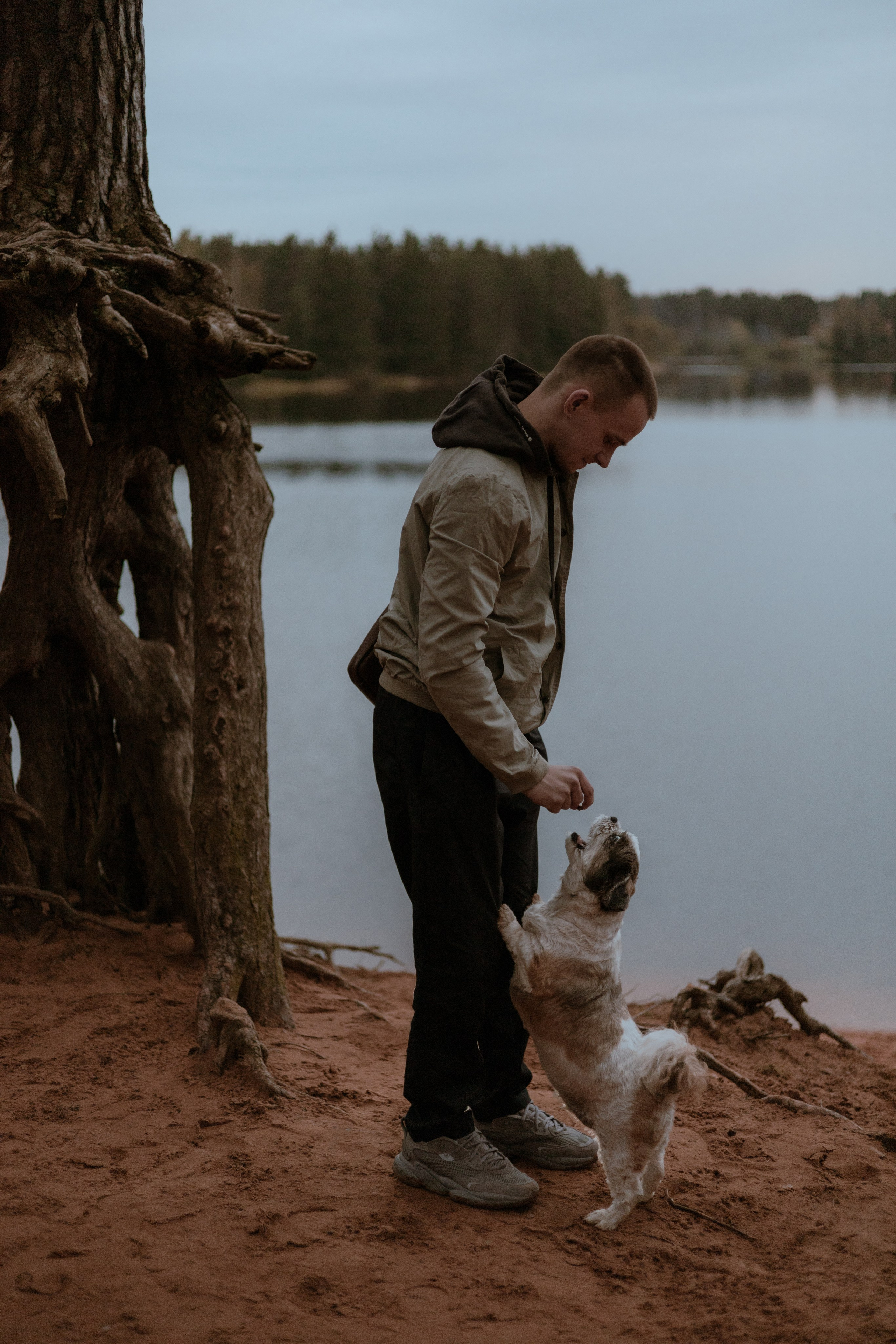 фото с собакой спб