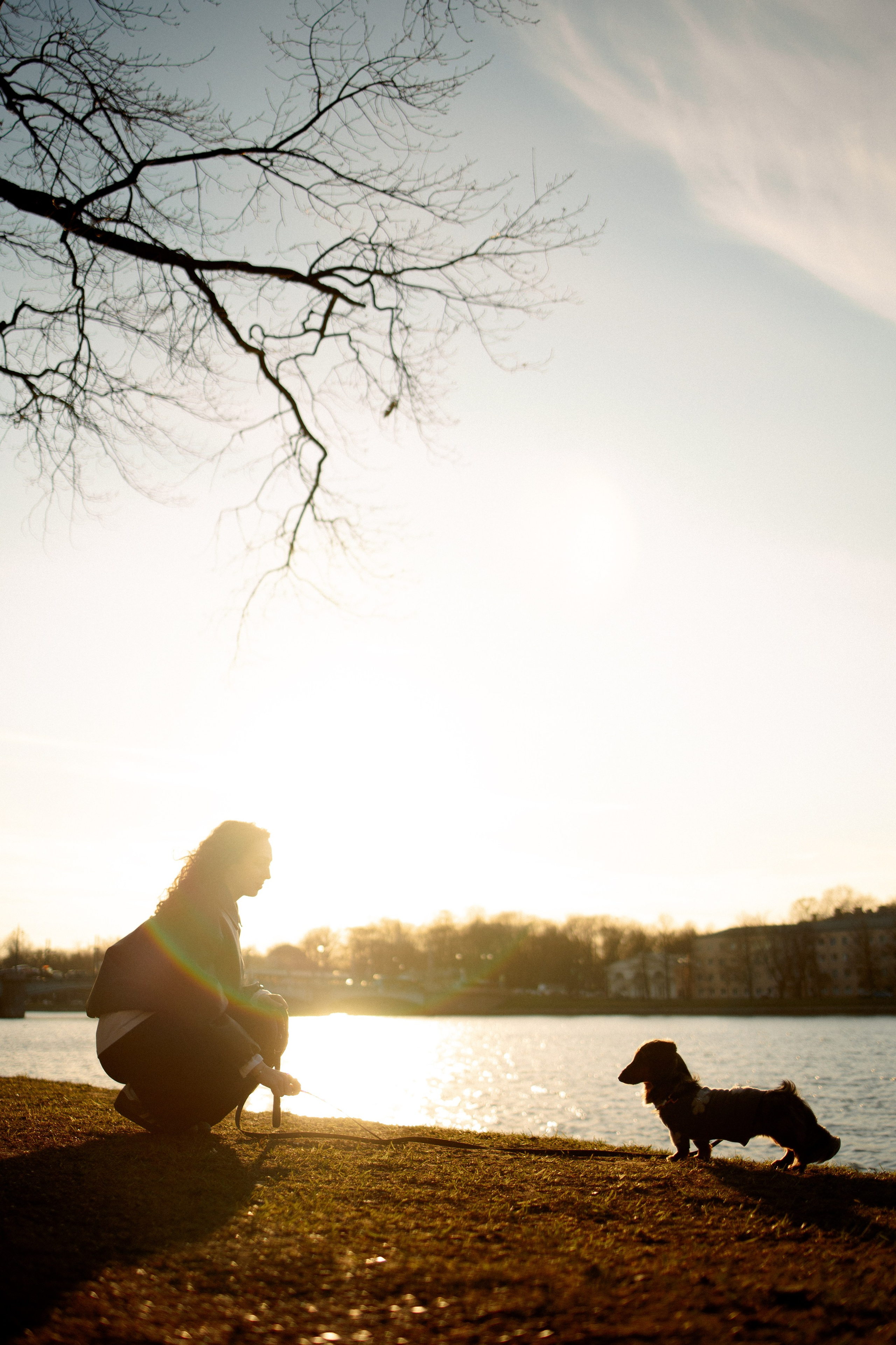 Одна прогулка из жизни Бимы. Семейный фотограф Питер •love-story•|Санкт-Петербург