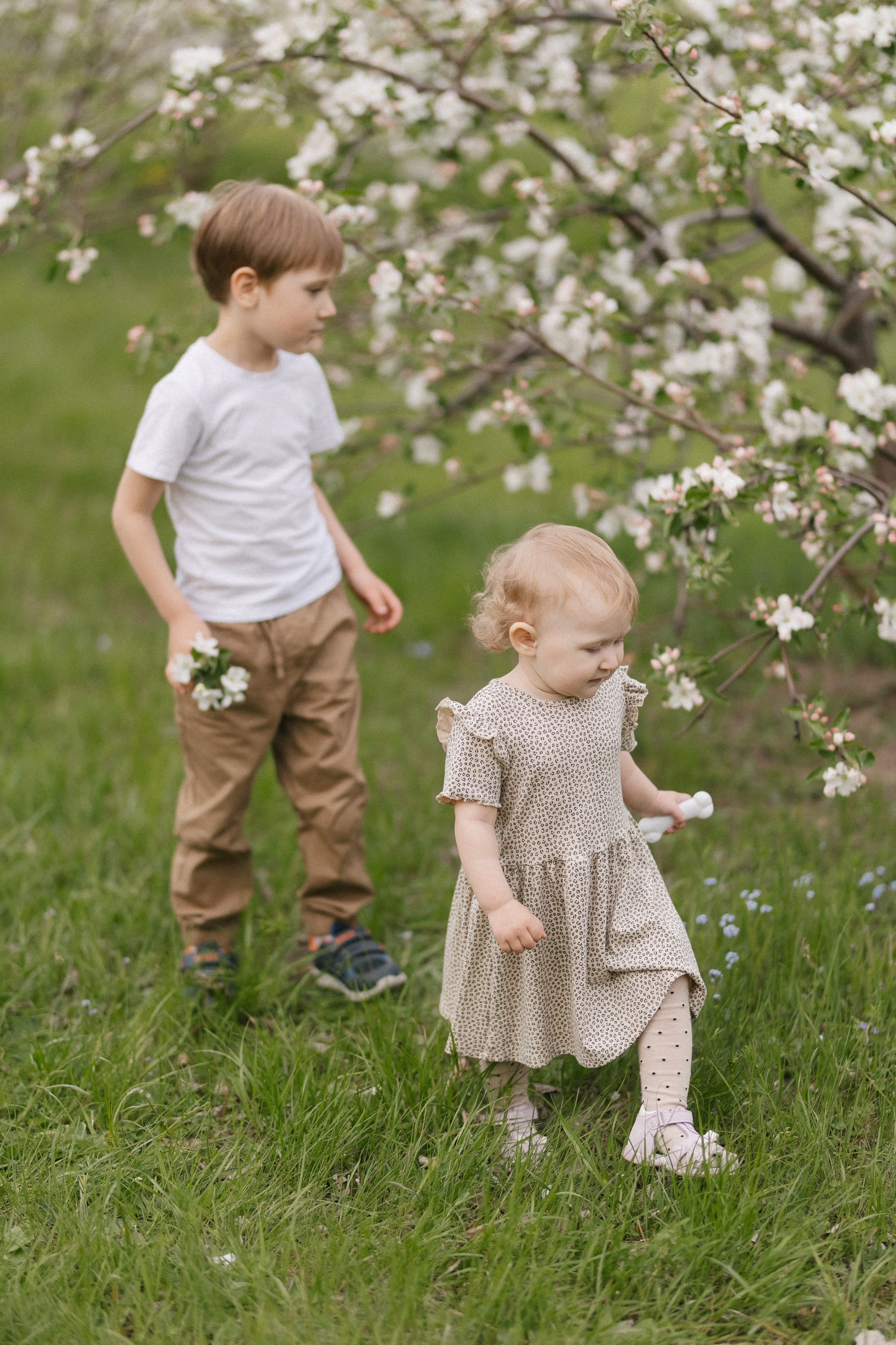 ДАША, ПАША, САВА И САША ` 24. Maria Startseva Photo
