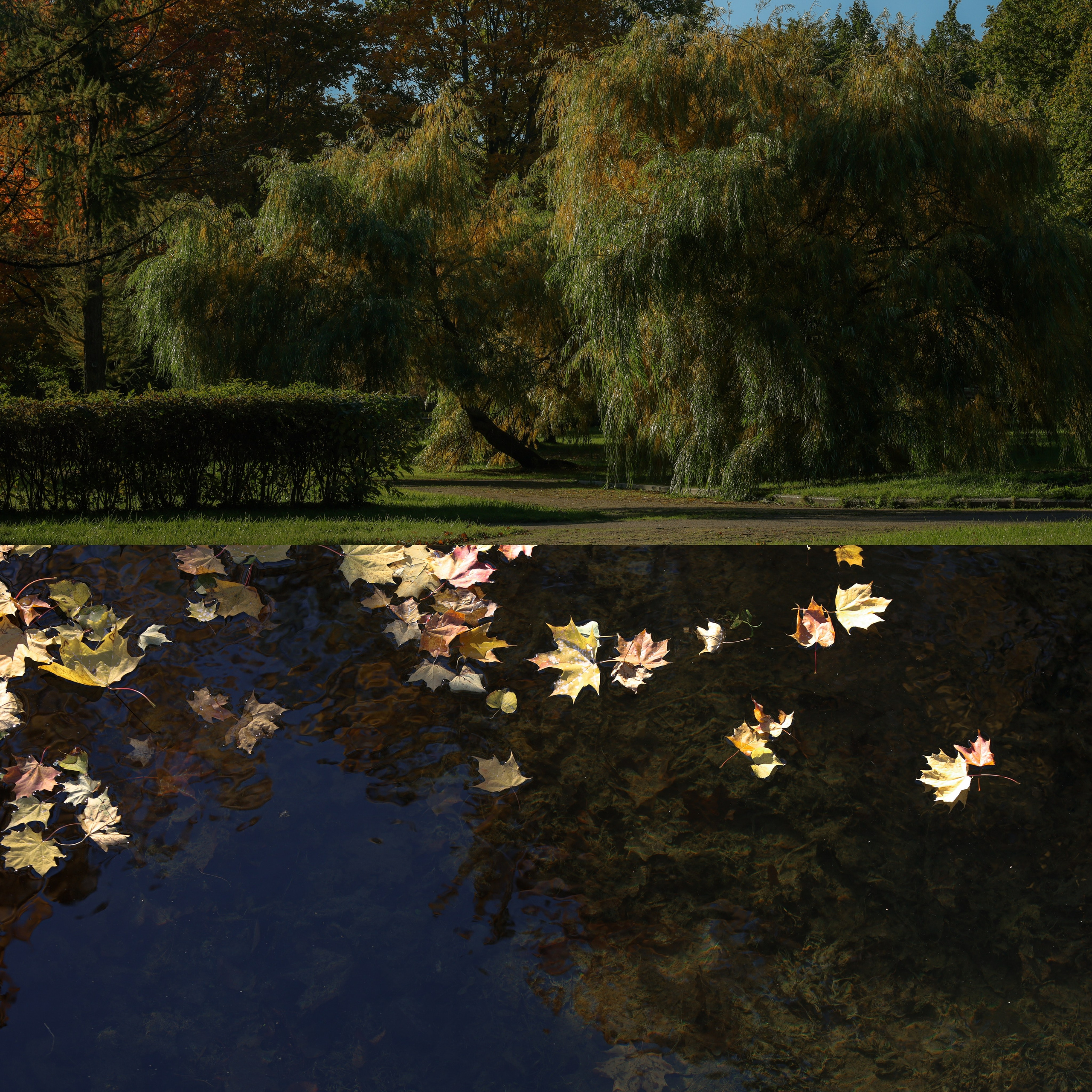 Природа &. Фотохудожник в СПб