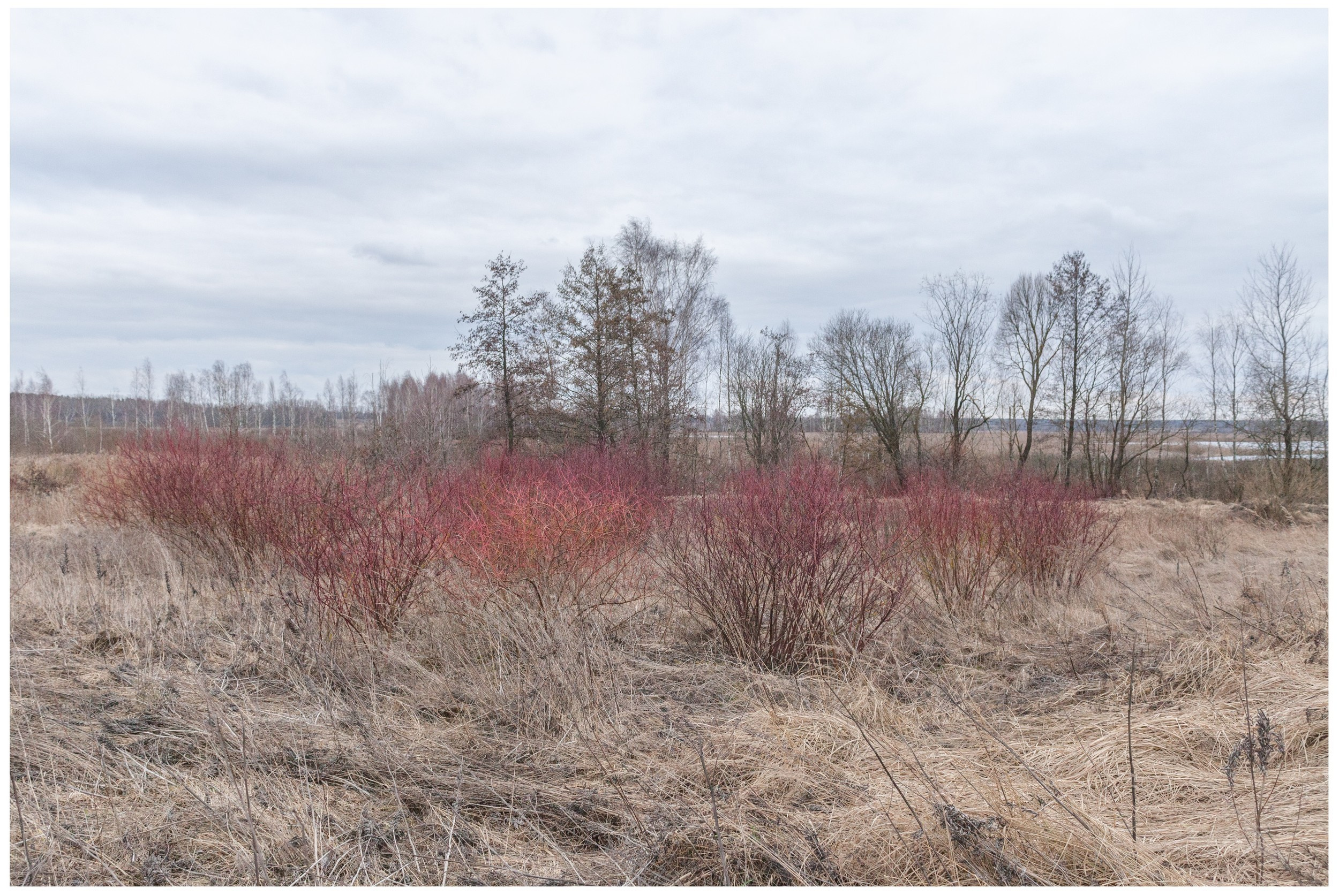 Belarus. Künstler Verstecktoff