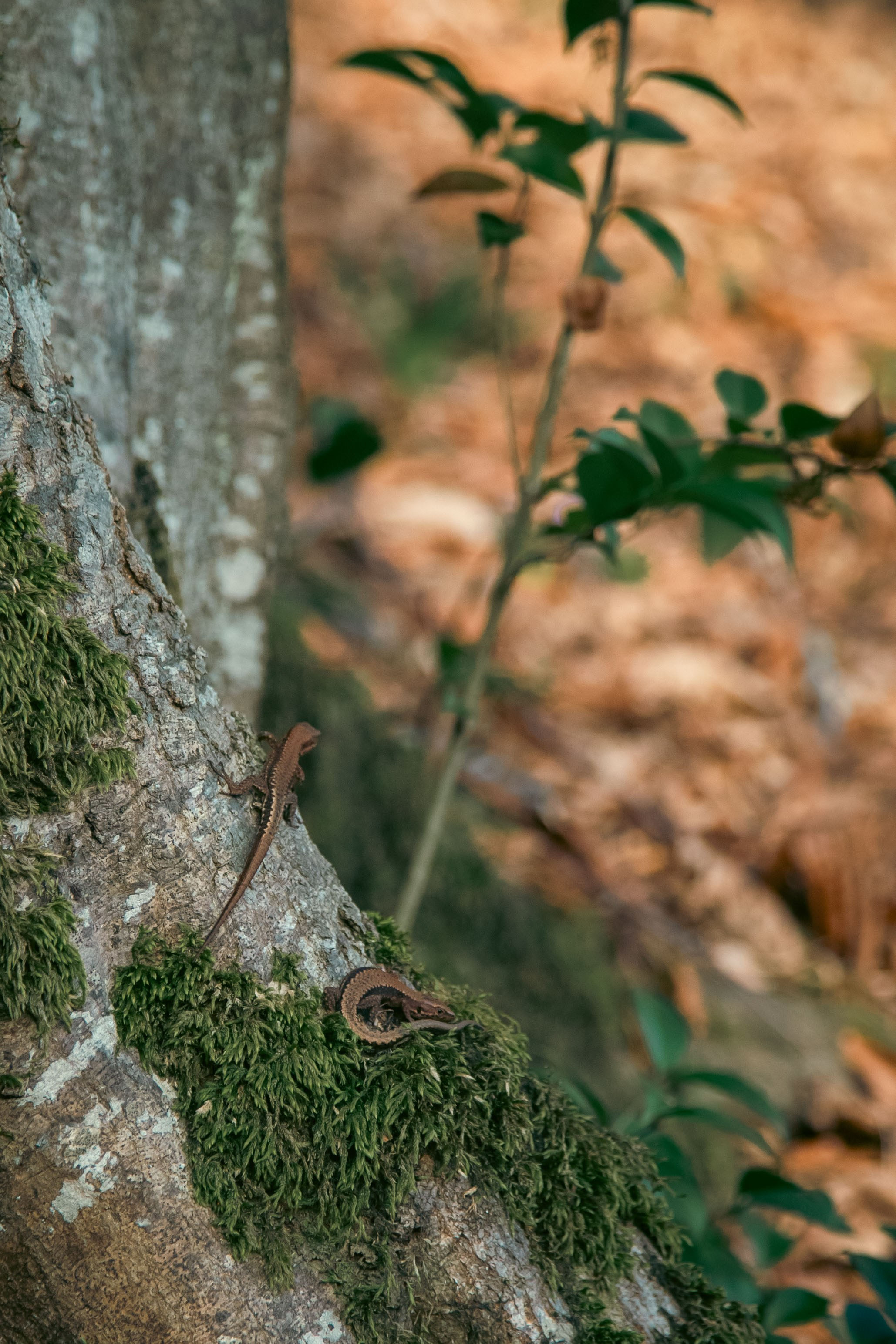 Batumi. Dmitriy [KCCC] is a pretty cool photographer