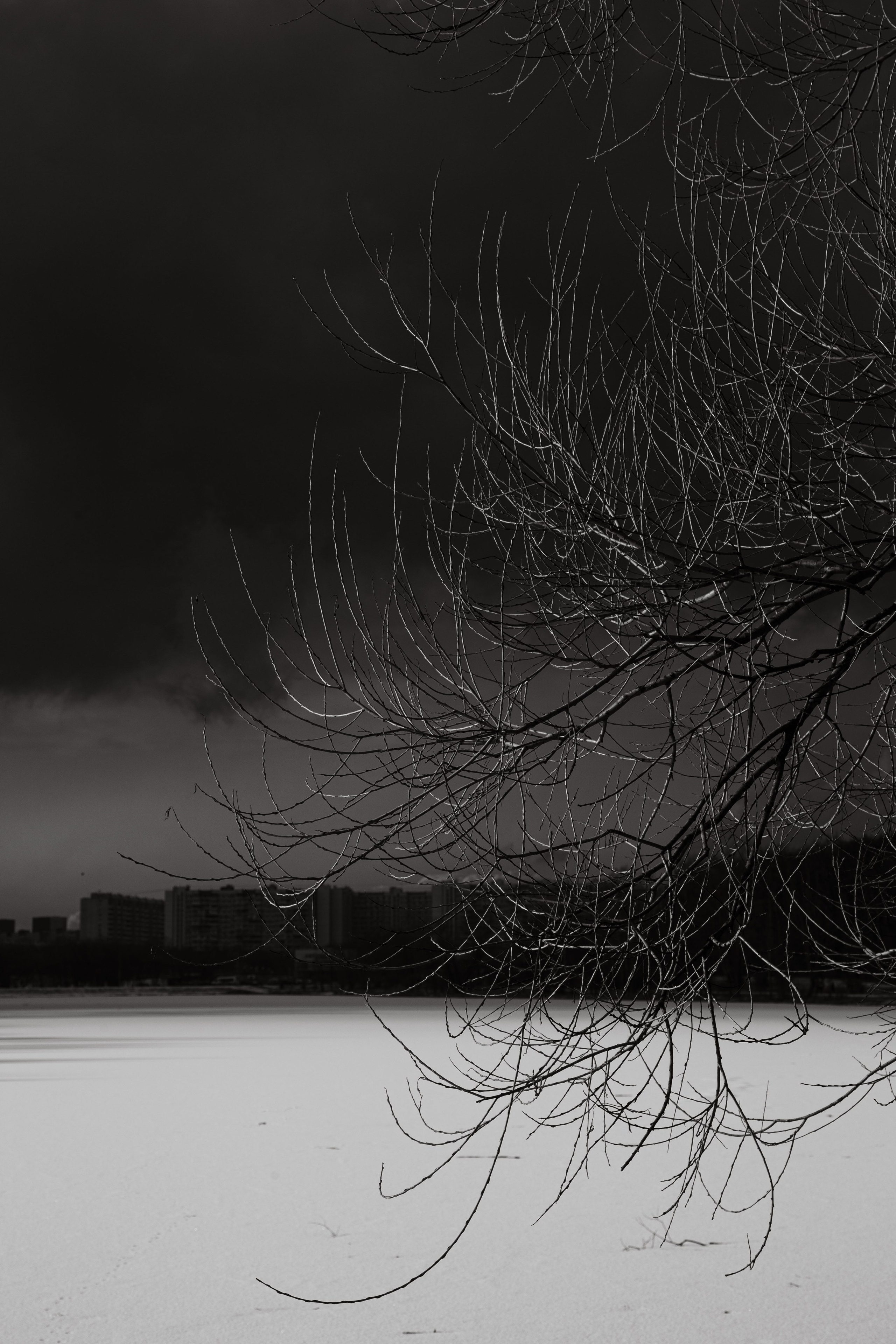 Осенняя зима. Dmitriy [KCCC] is a pretty cool photographer