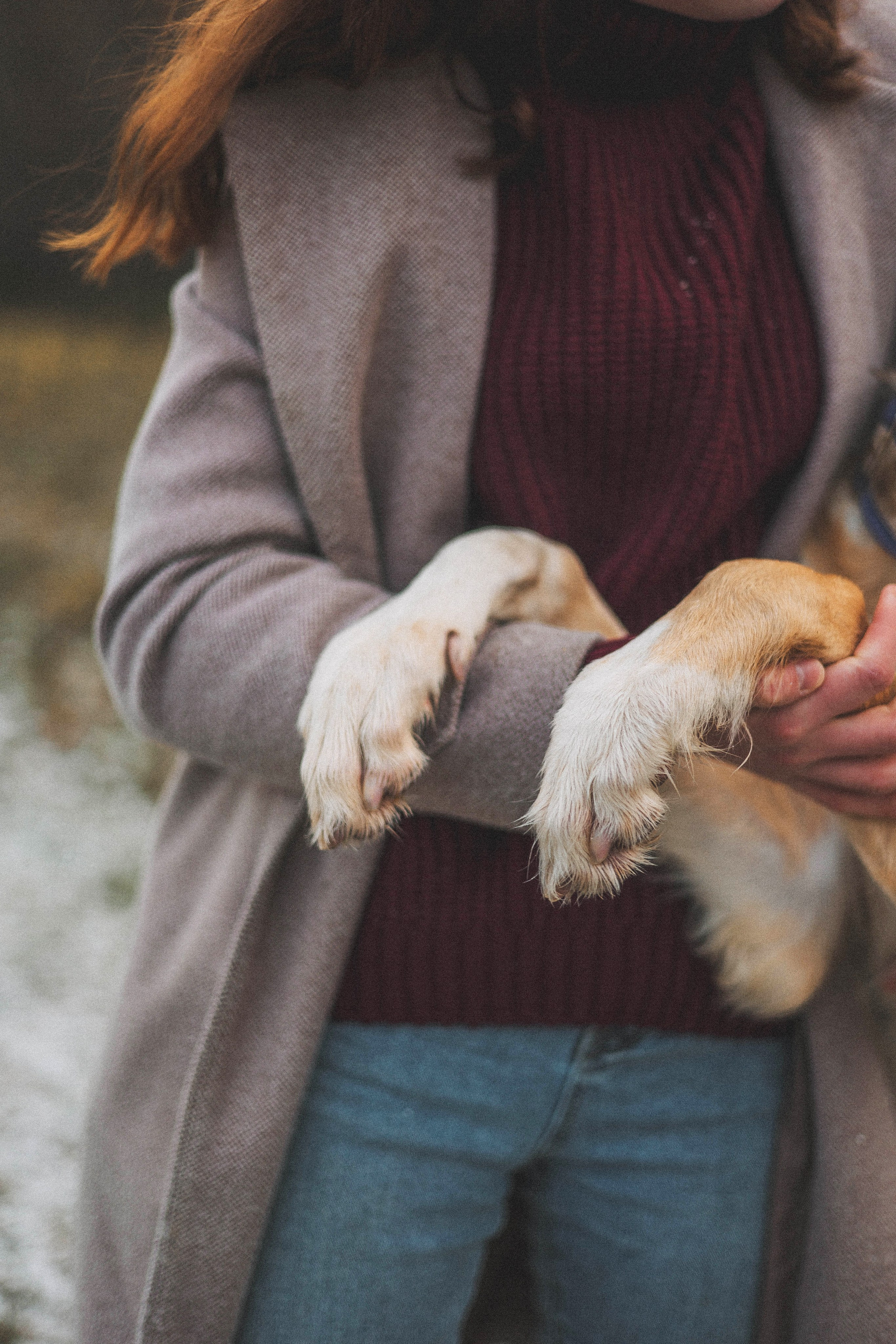 Алена, Леви и Микаса. Фотограф-анималист Богданова Полина