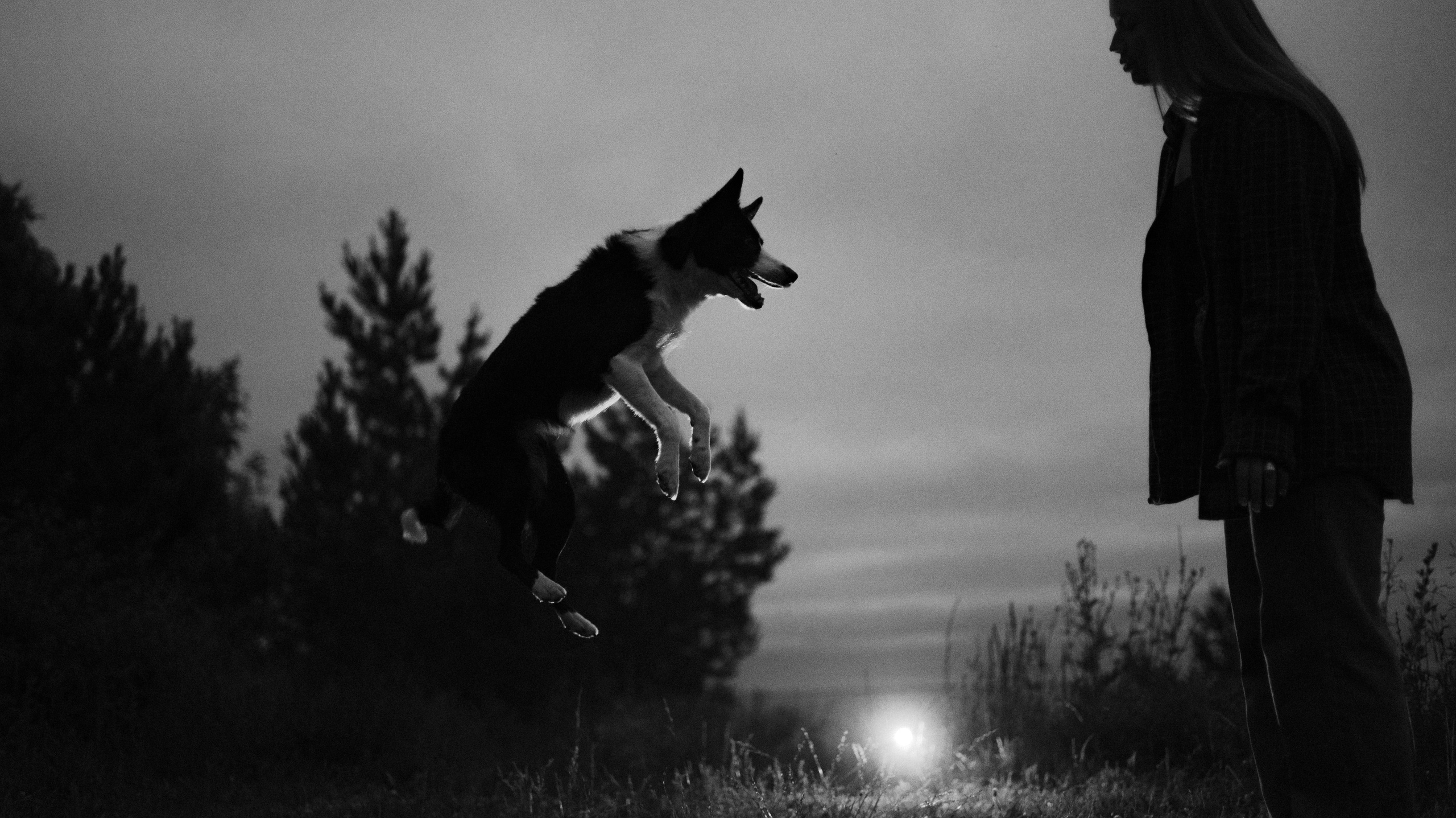 Аделя, Вандер, Шайна и Бая. Фотограф-анималист Богданова Полина