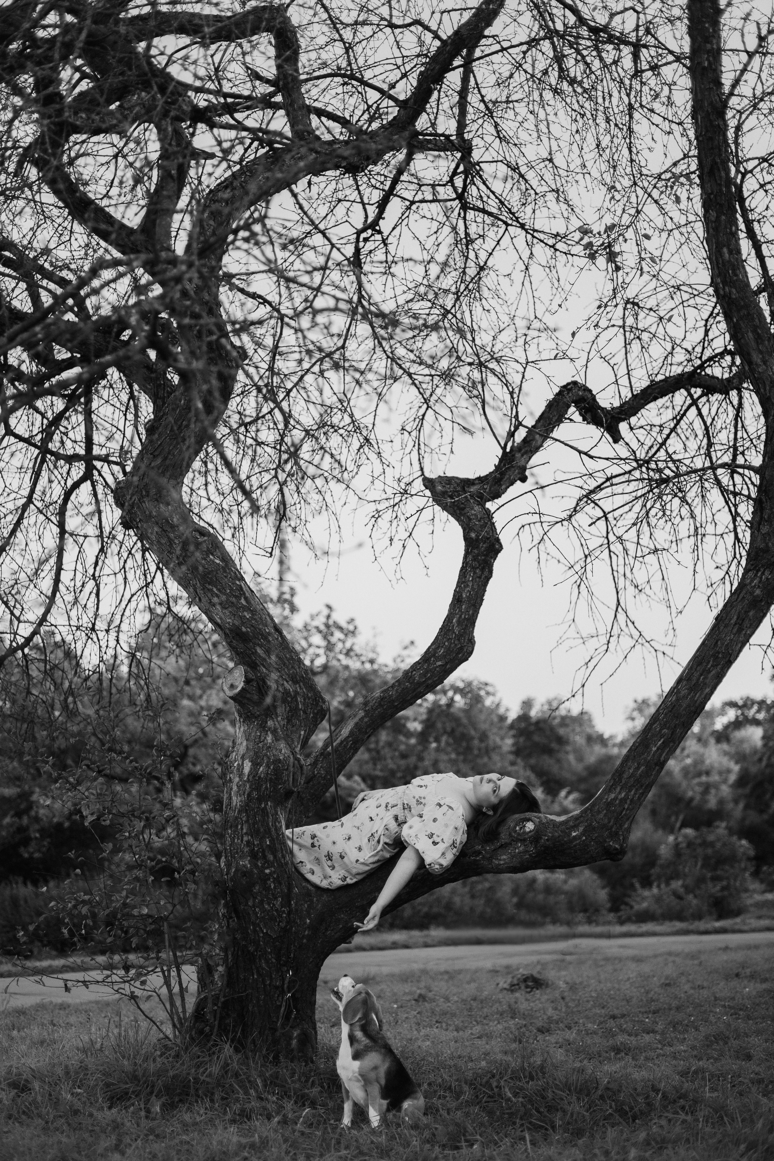 Лиза и Сара. Фотограф-анималист Богданова Полина