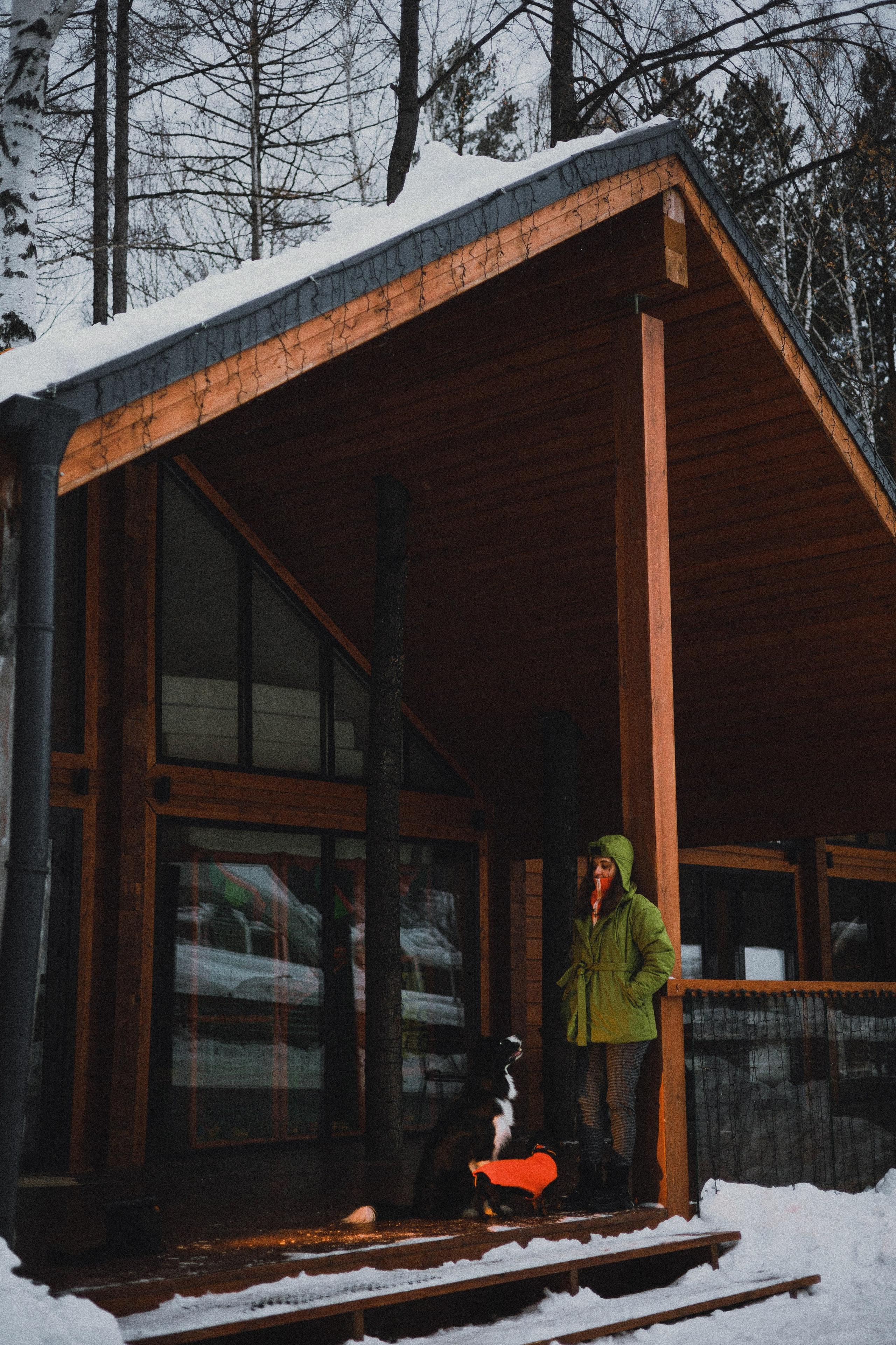 Маша, Рэм и Ньютон. Фотограф-анималист Богданова Полина