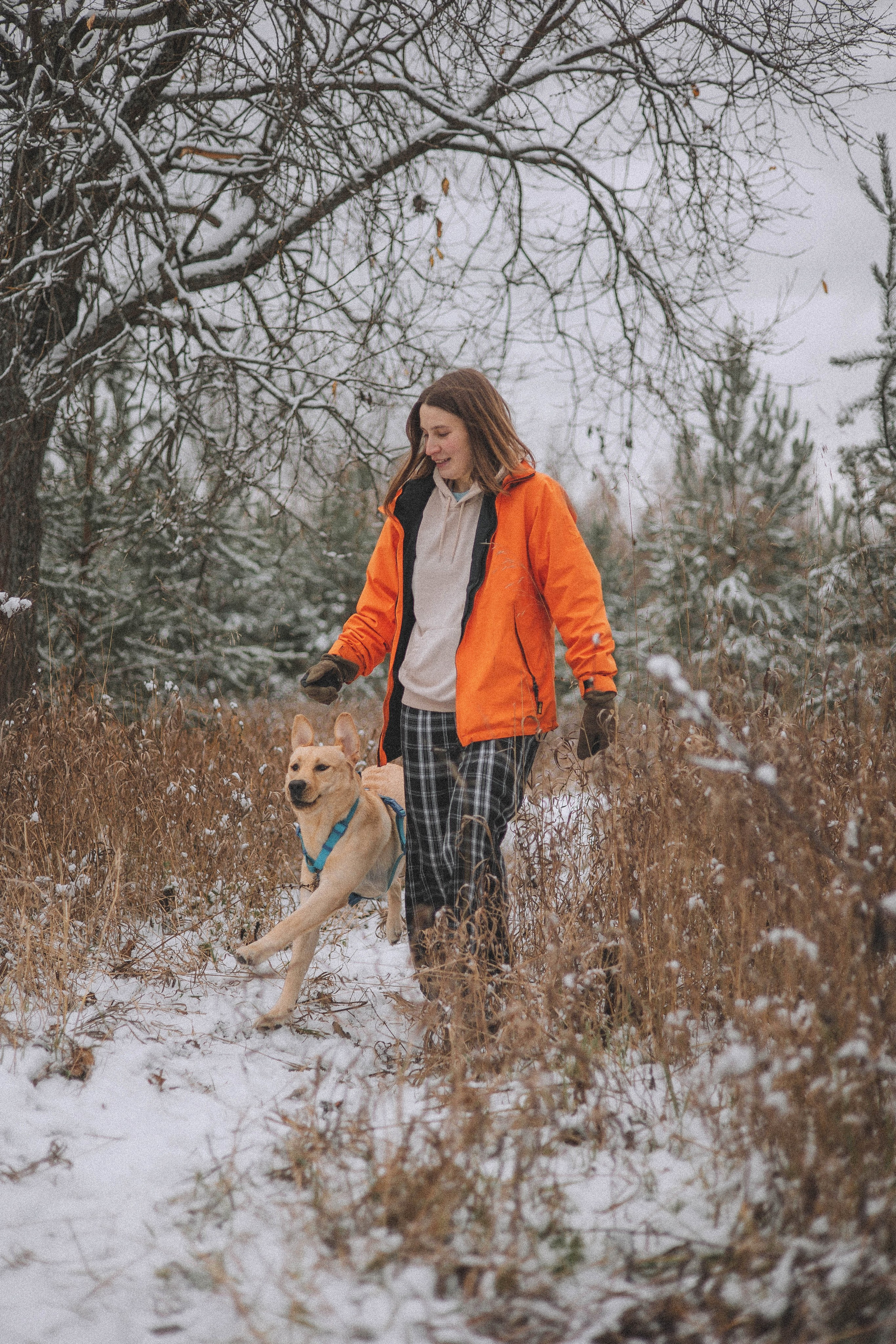 Маргарита и Варди. Фотограф-анималист Богданова Полина